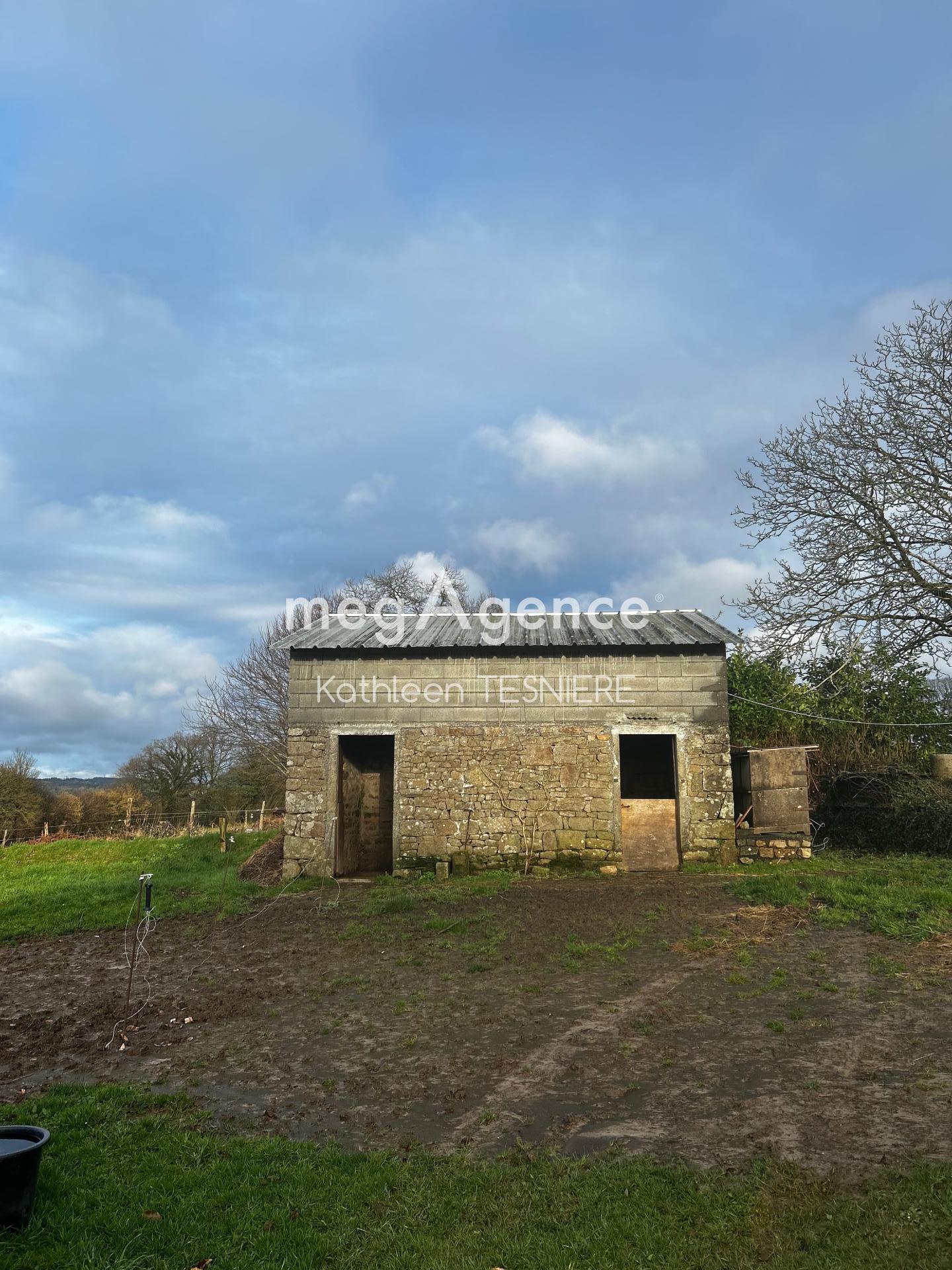 Miniature photo - 12 / 12