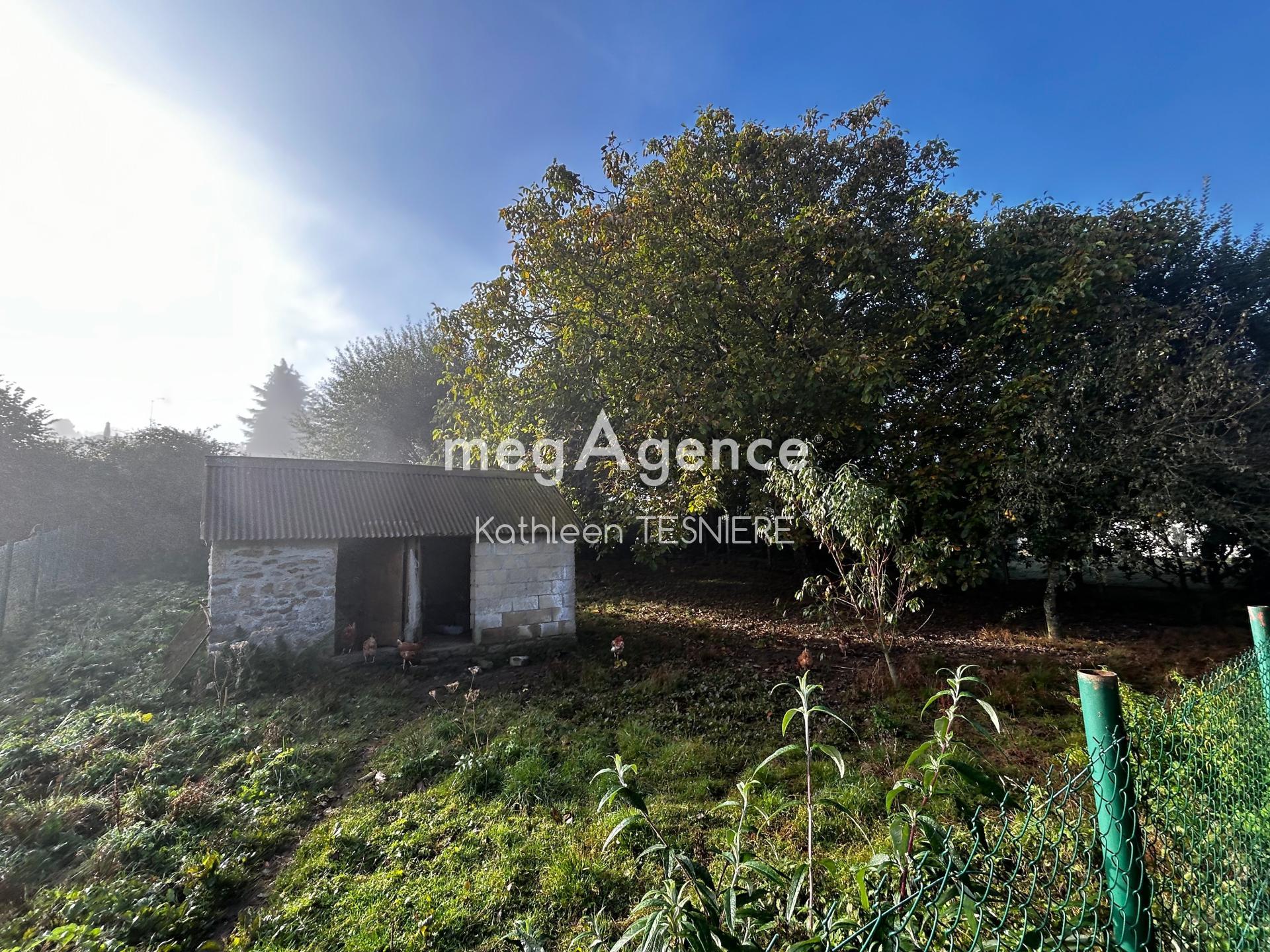 Miniature photo - 10 / 12