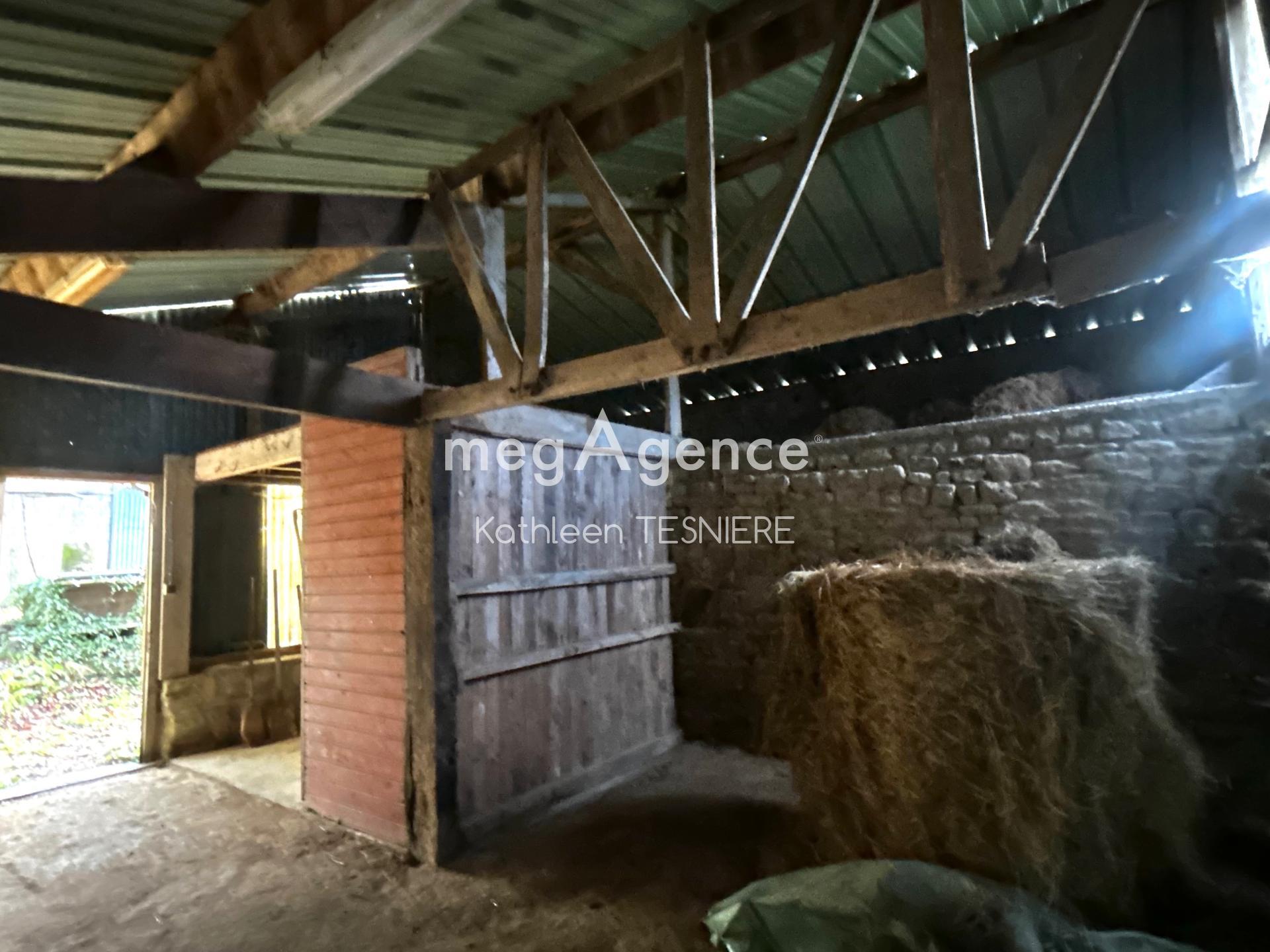 Miniature photo - 11 / 12