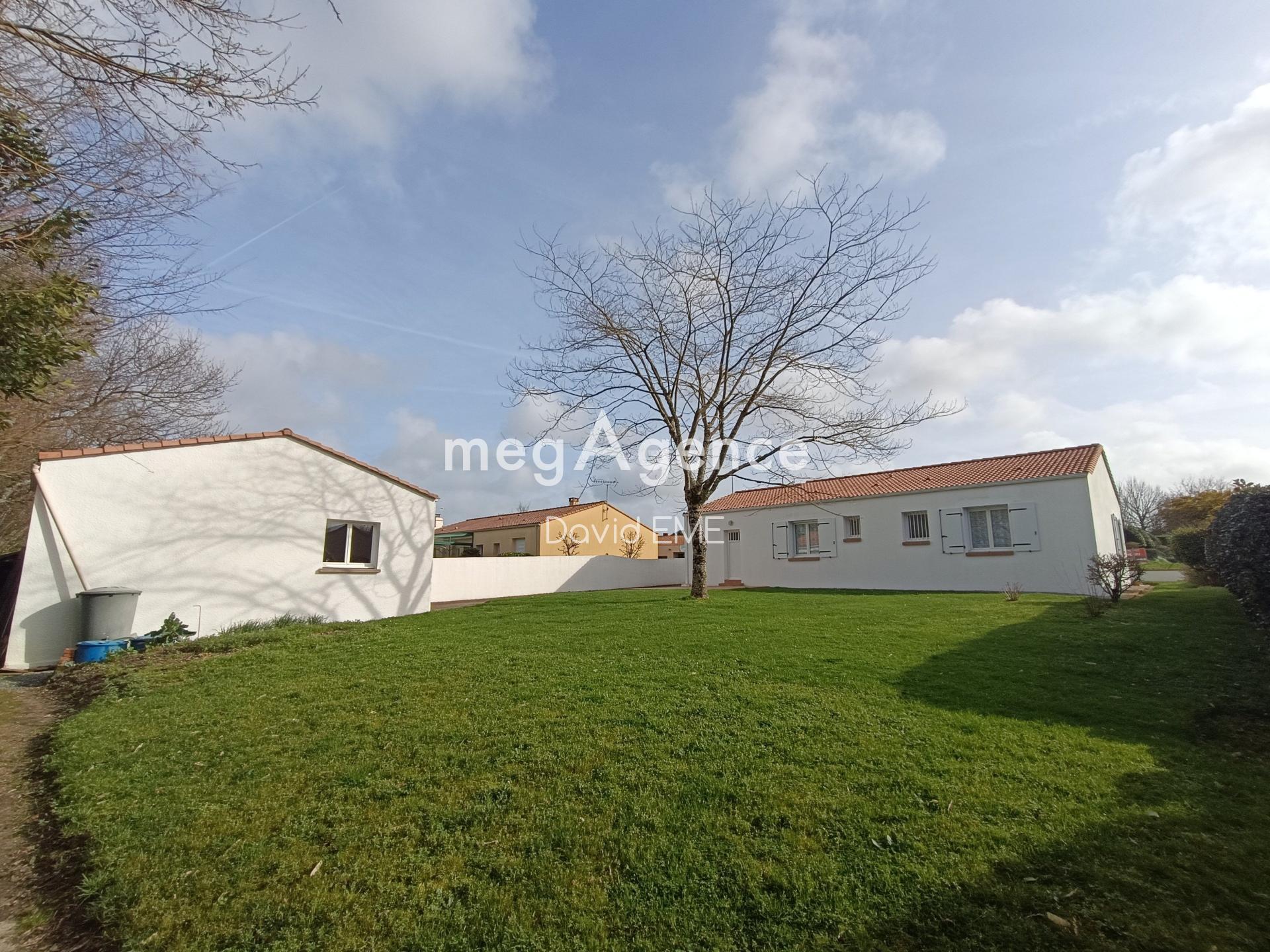 Miniature photo - 3 / 13