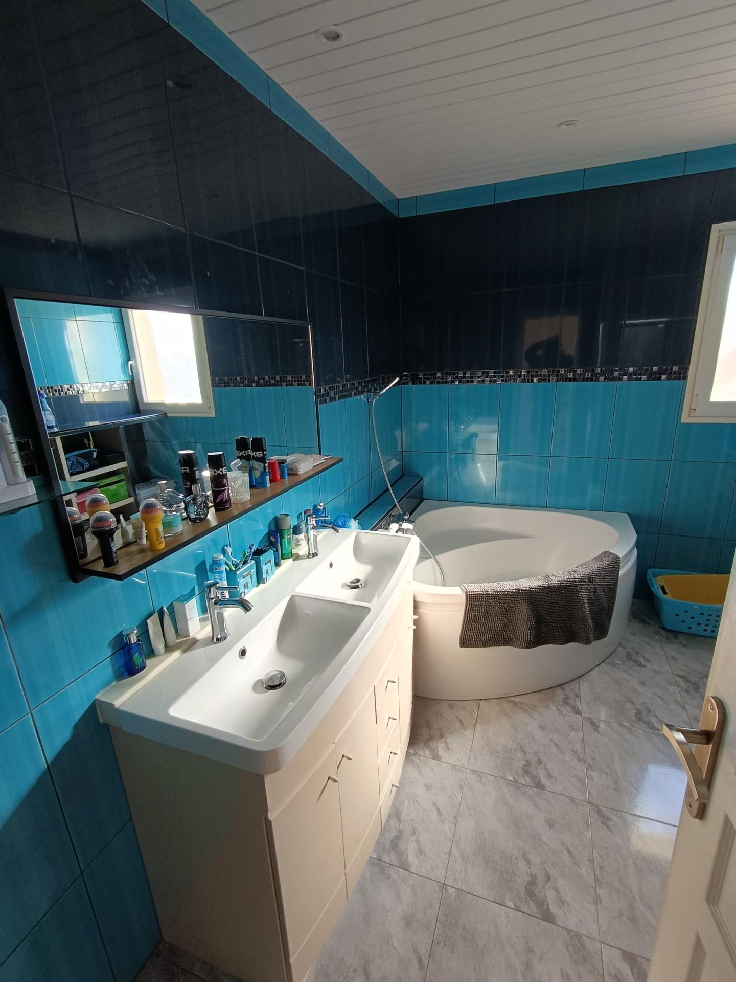 Miniature photo - 12 / 12