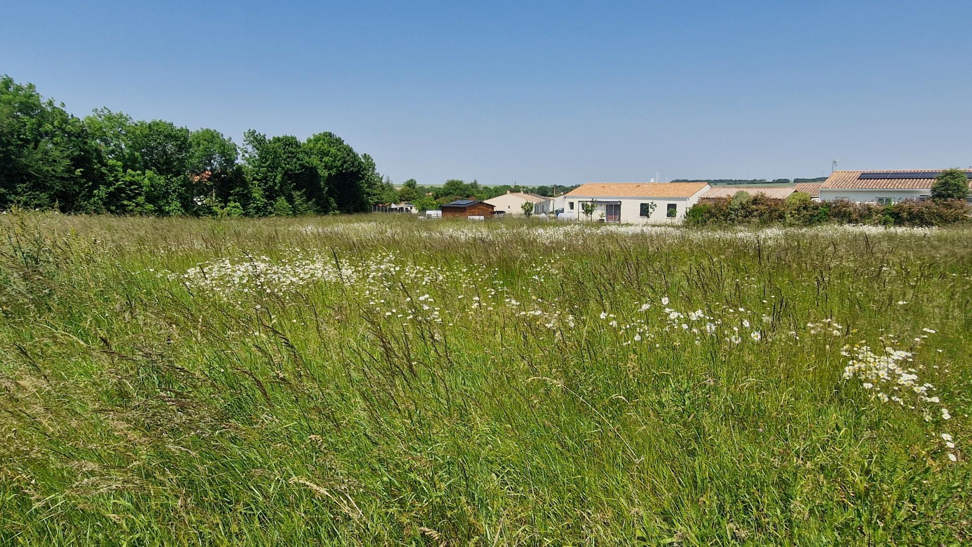 Miniature photo - 2 / 4