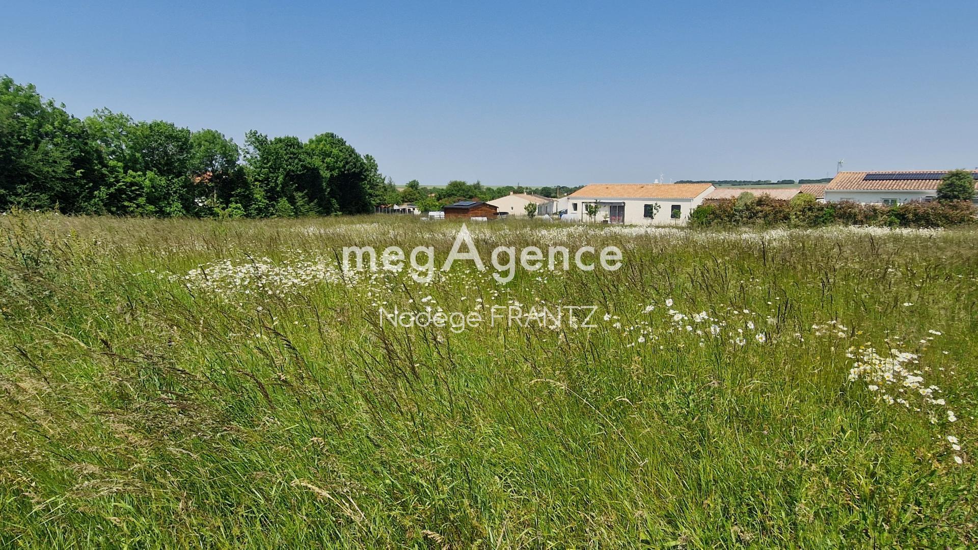 Miniature photo - 2 / 4