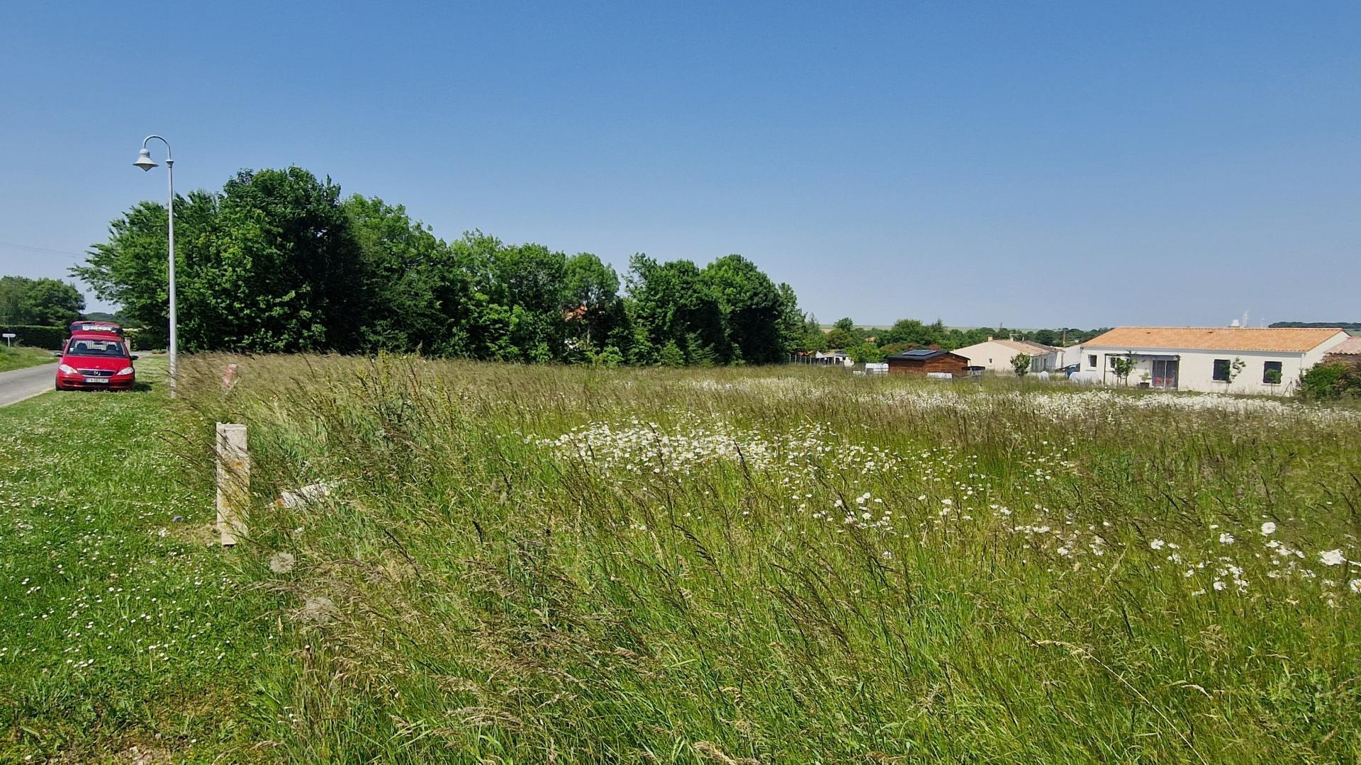 Miniature photo - 3 / 4