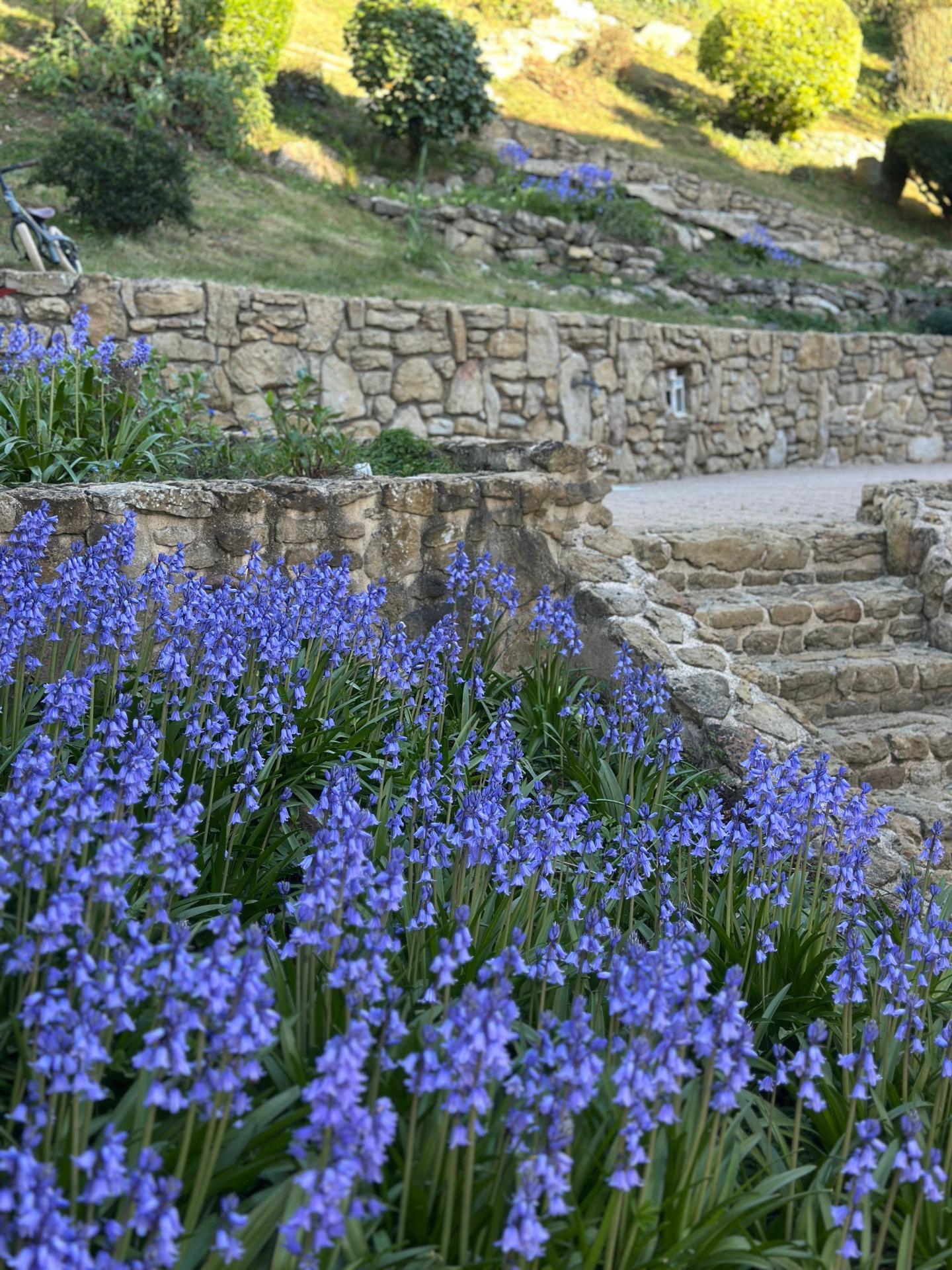 Miniature photo - 10 / 10