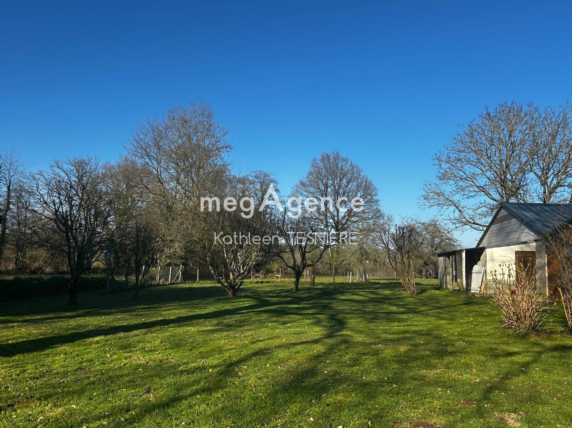 Miniature photo - 13 / 14