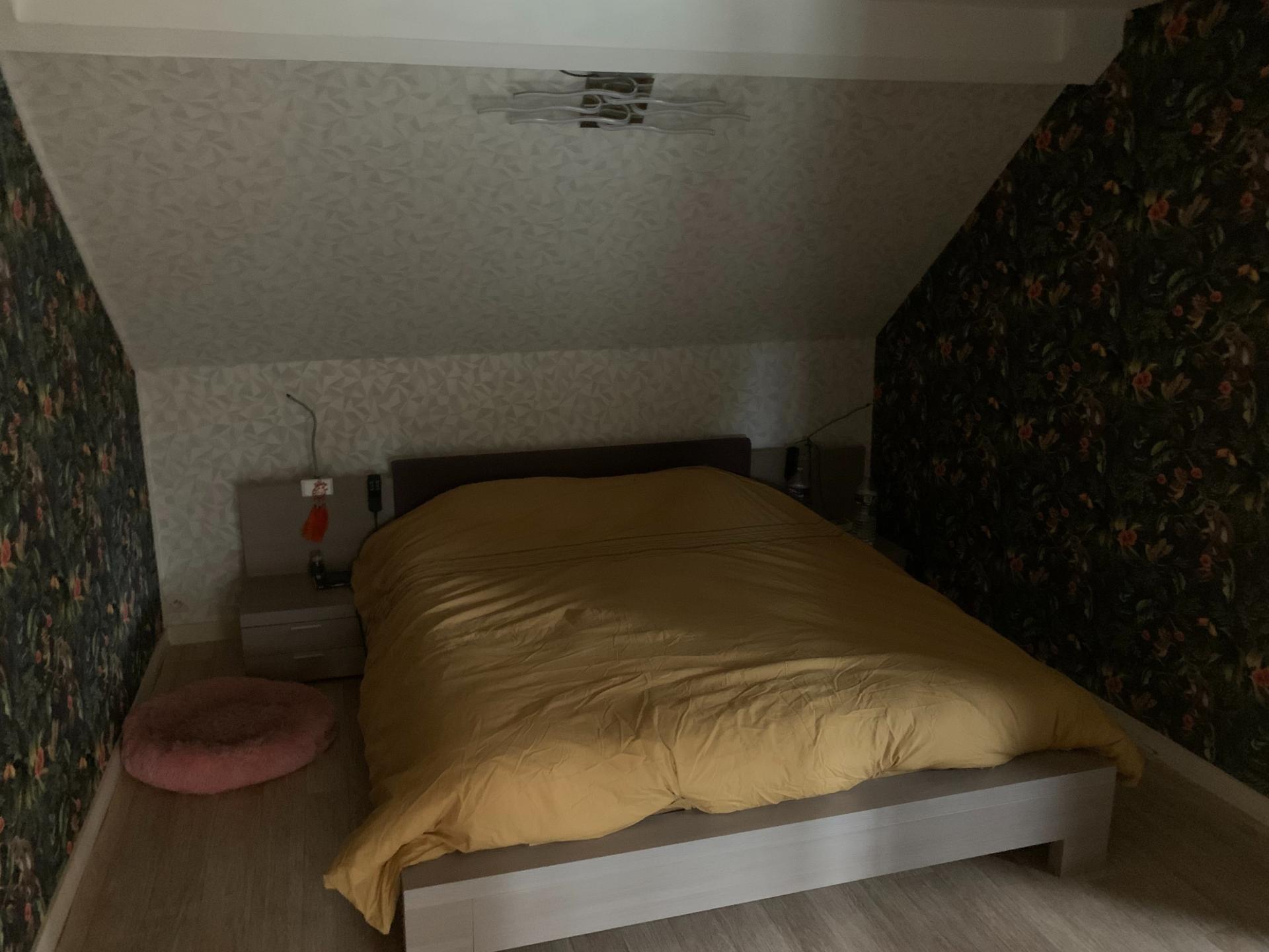 Miniature photo - 12 / 17