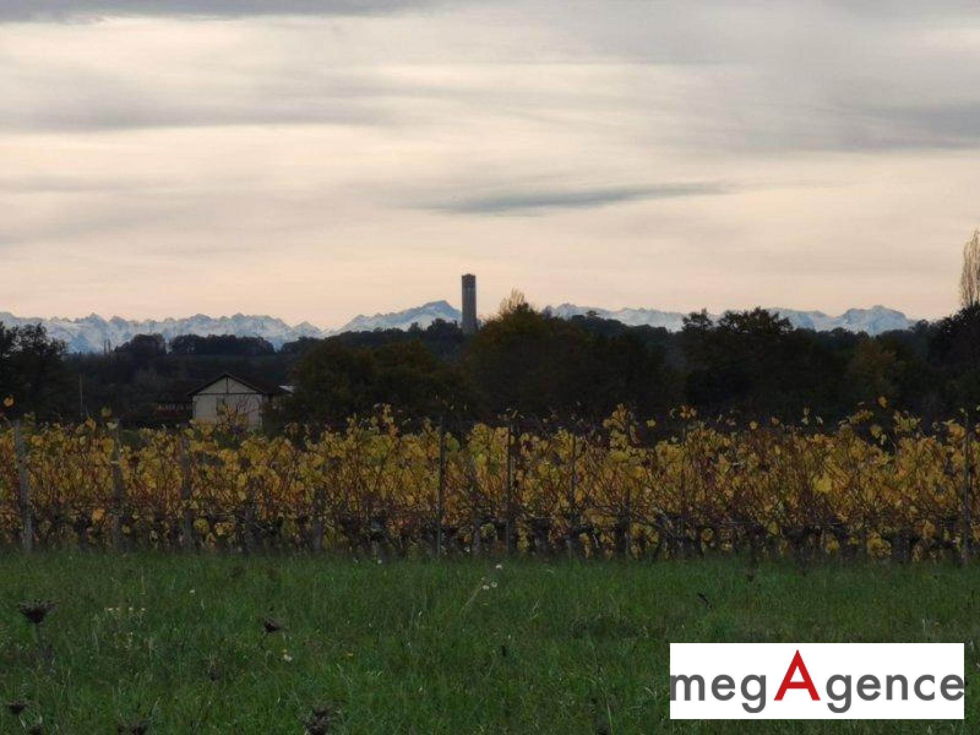 Miniature photo - 4 / 5