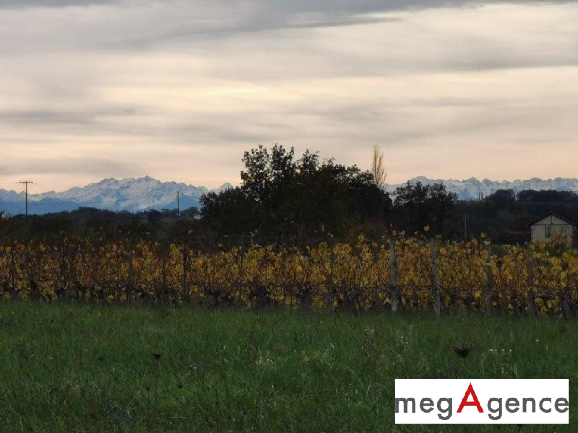 Miniature photo - 5 / 5