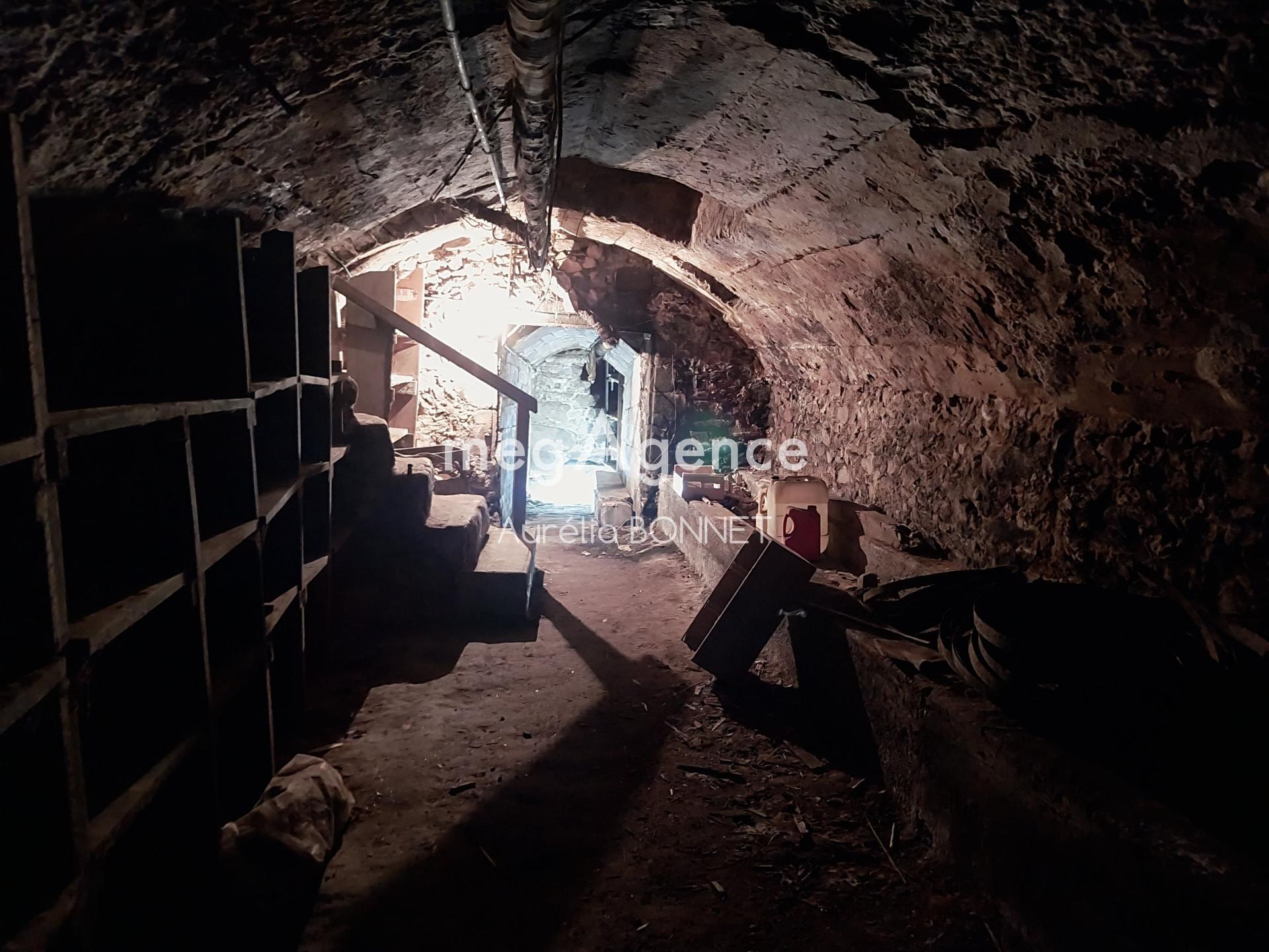 Miniature photo - 11 / 11