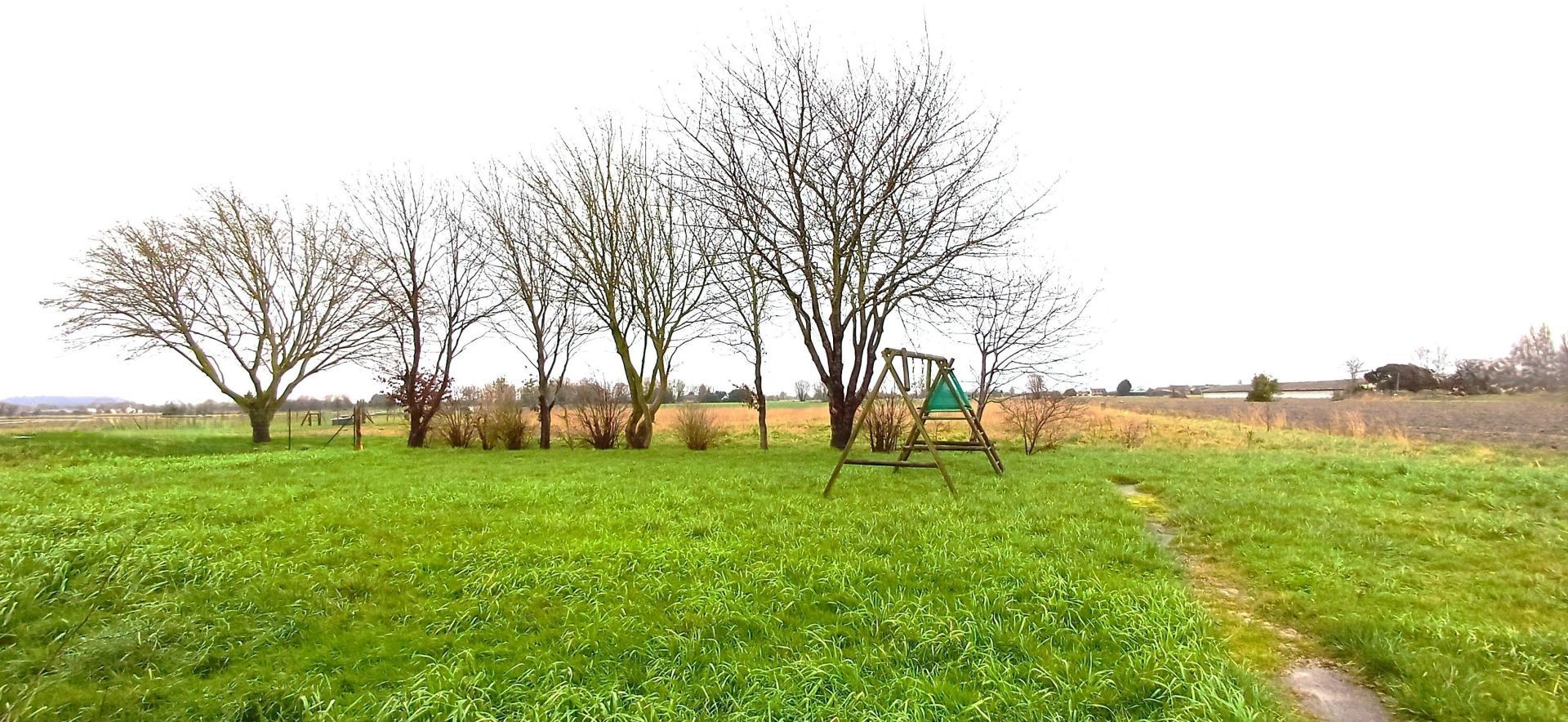 Miniature photo - 10 / 11