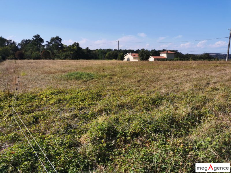 Miniature photo - 2 / 6