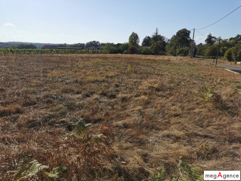 Miniature photo - 3 / 6