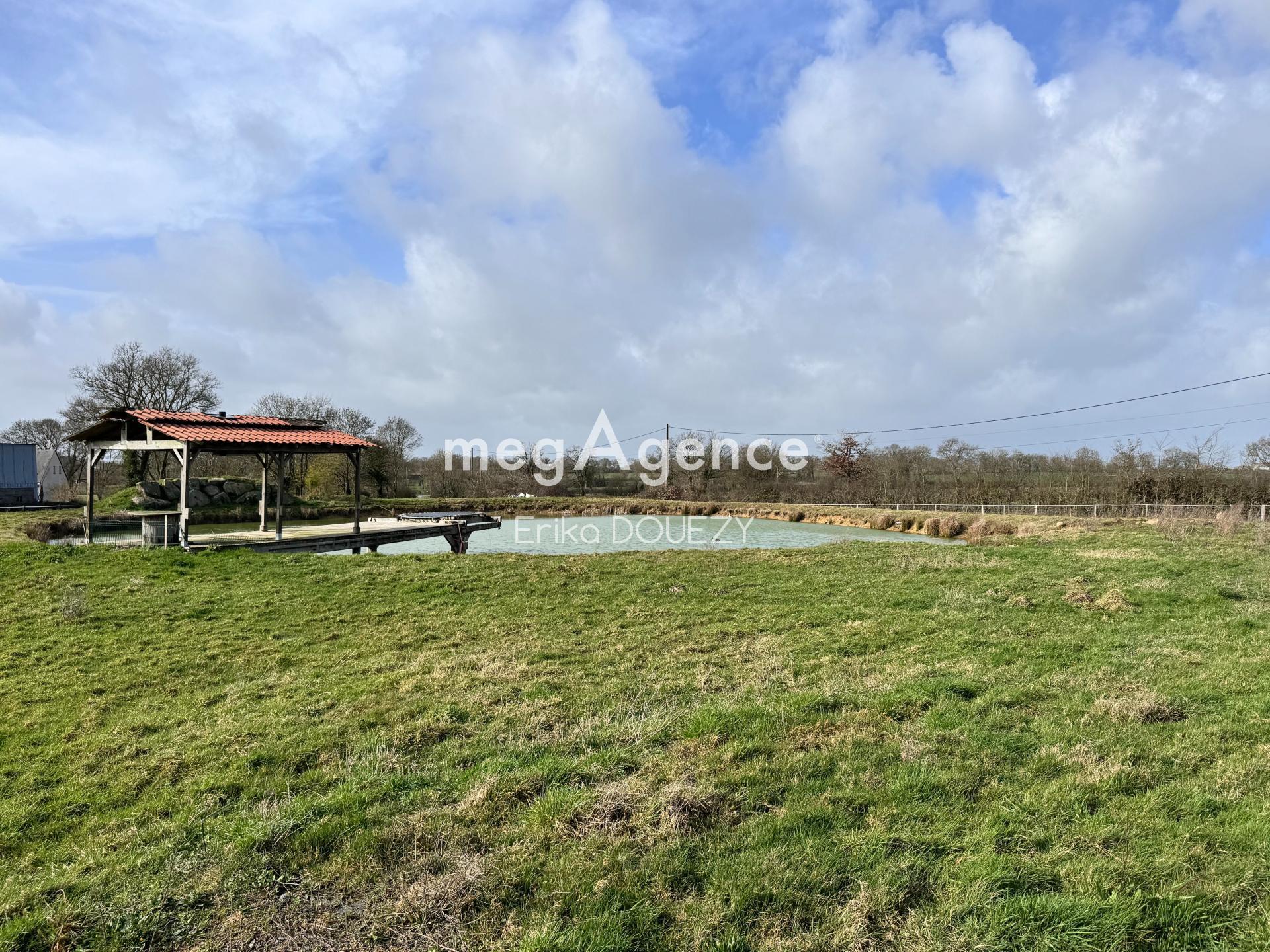 Miniature photo - 4 / 15