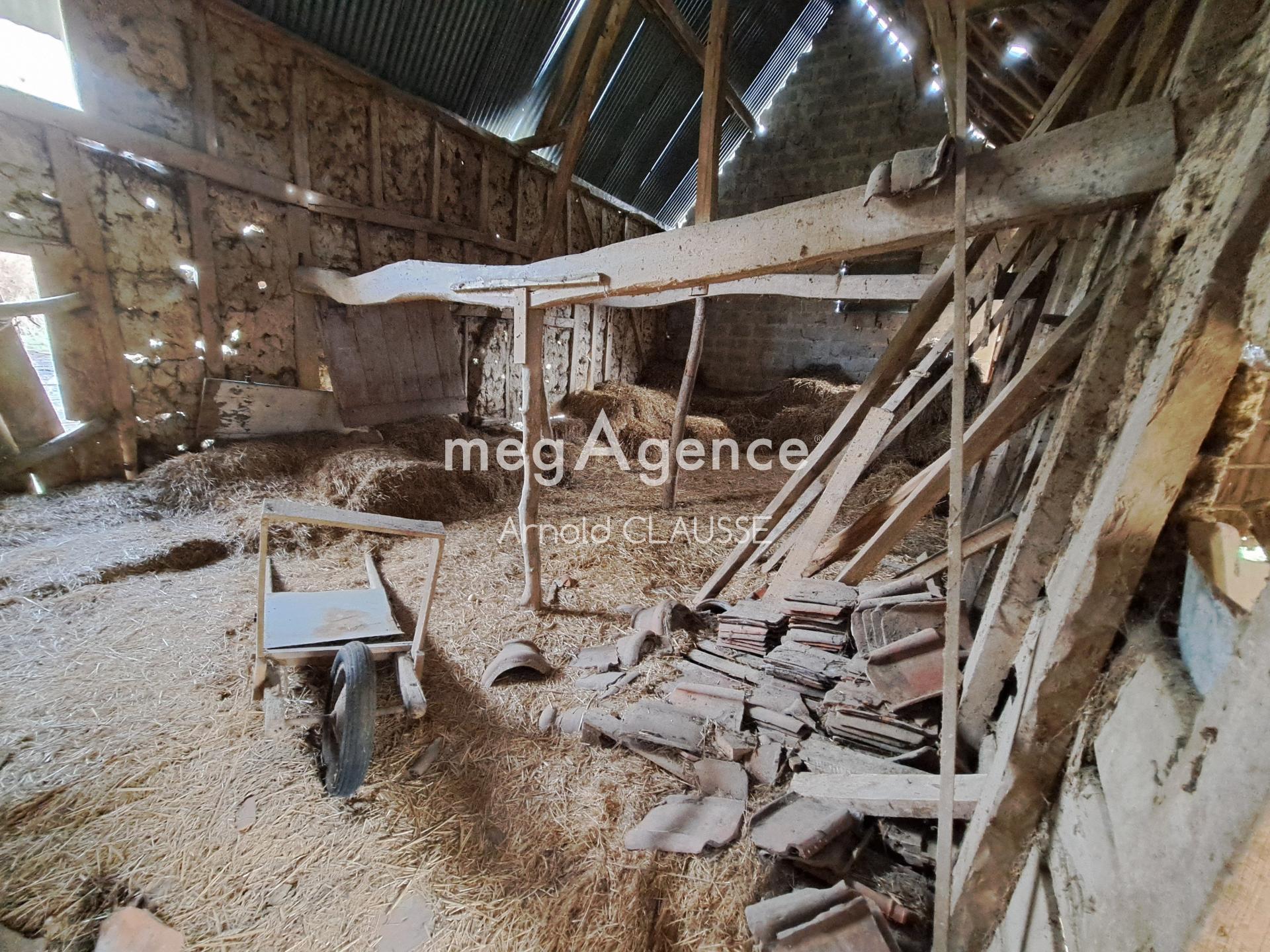 Miniature photo - 12 / 16