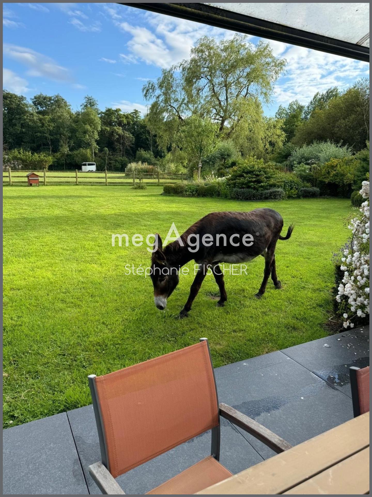 Miniature photo - 10 / 11