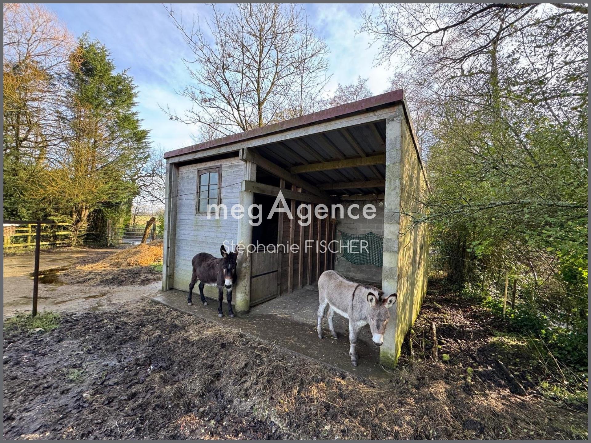 Miniature photo - 11 / 11