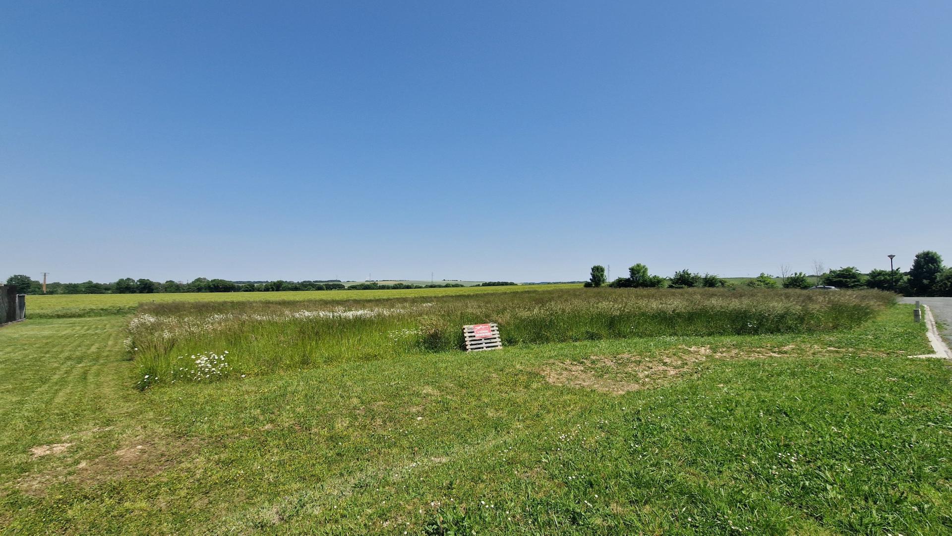 Miniature photo - 2 / 3