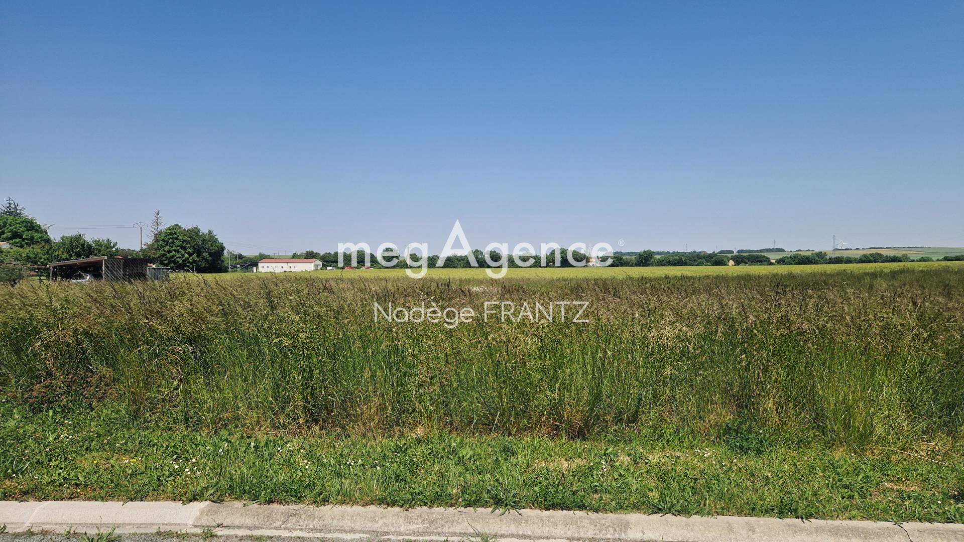 Miniature photo - 2 / 4