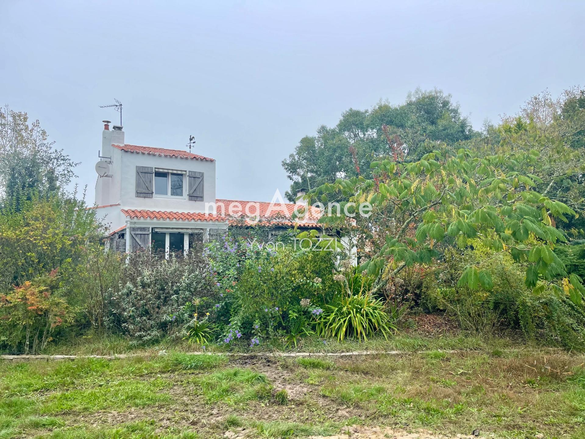 Miniature photo - 2 / 18