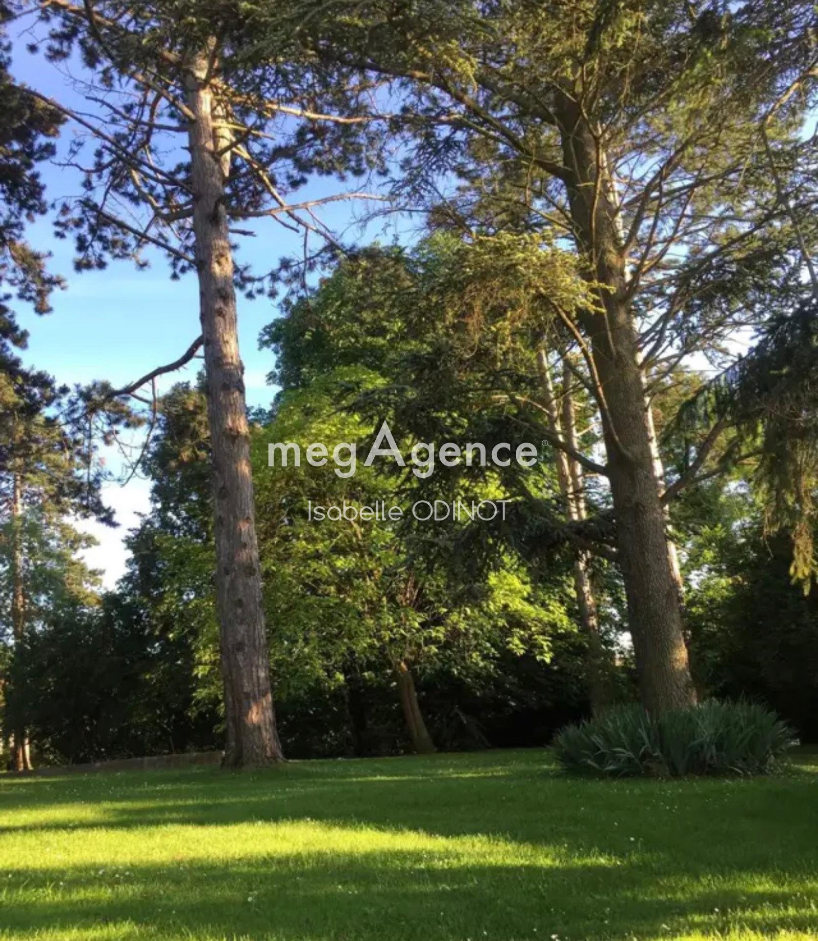 Miniature photo - 2 / 2