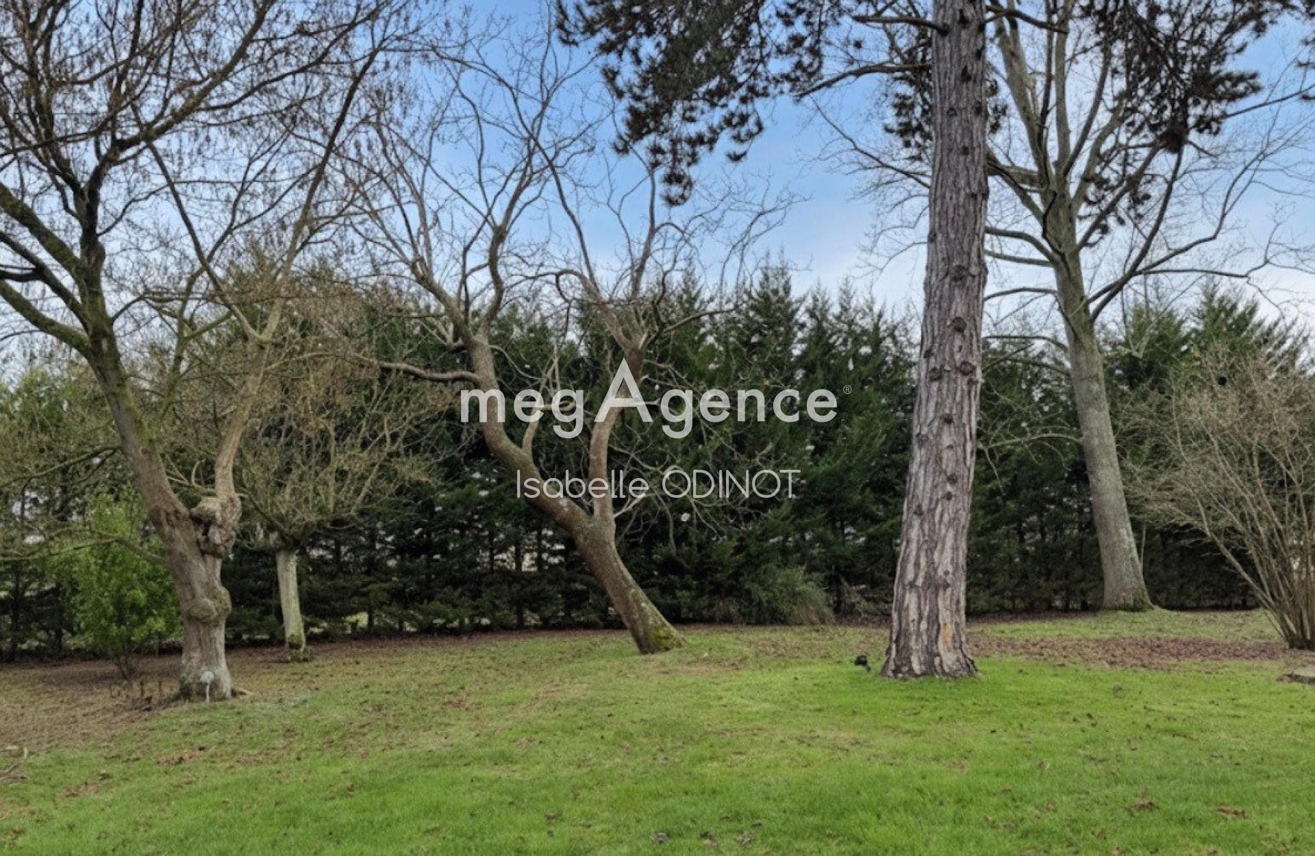 Miniature photo - 2 / 2