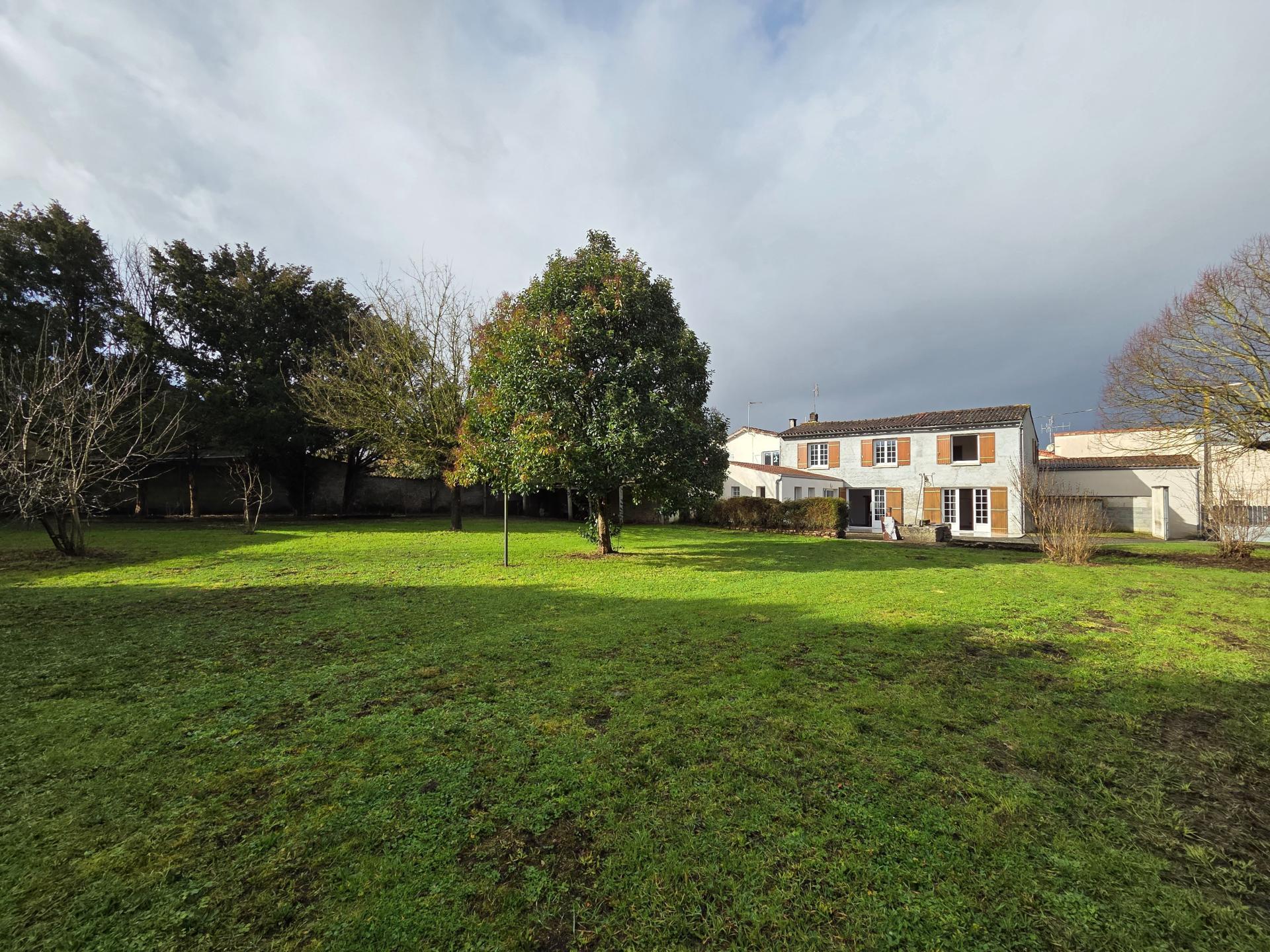 Miniature photo - 2 / 15