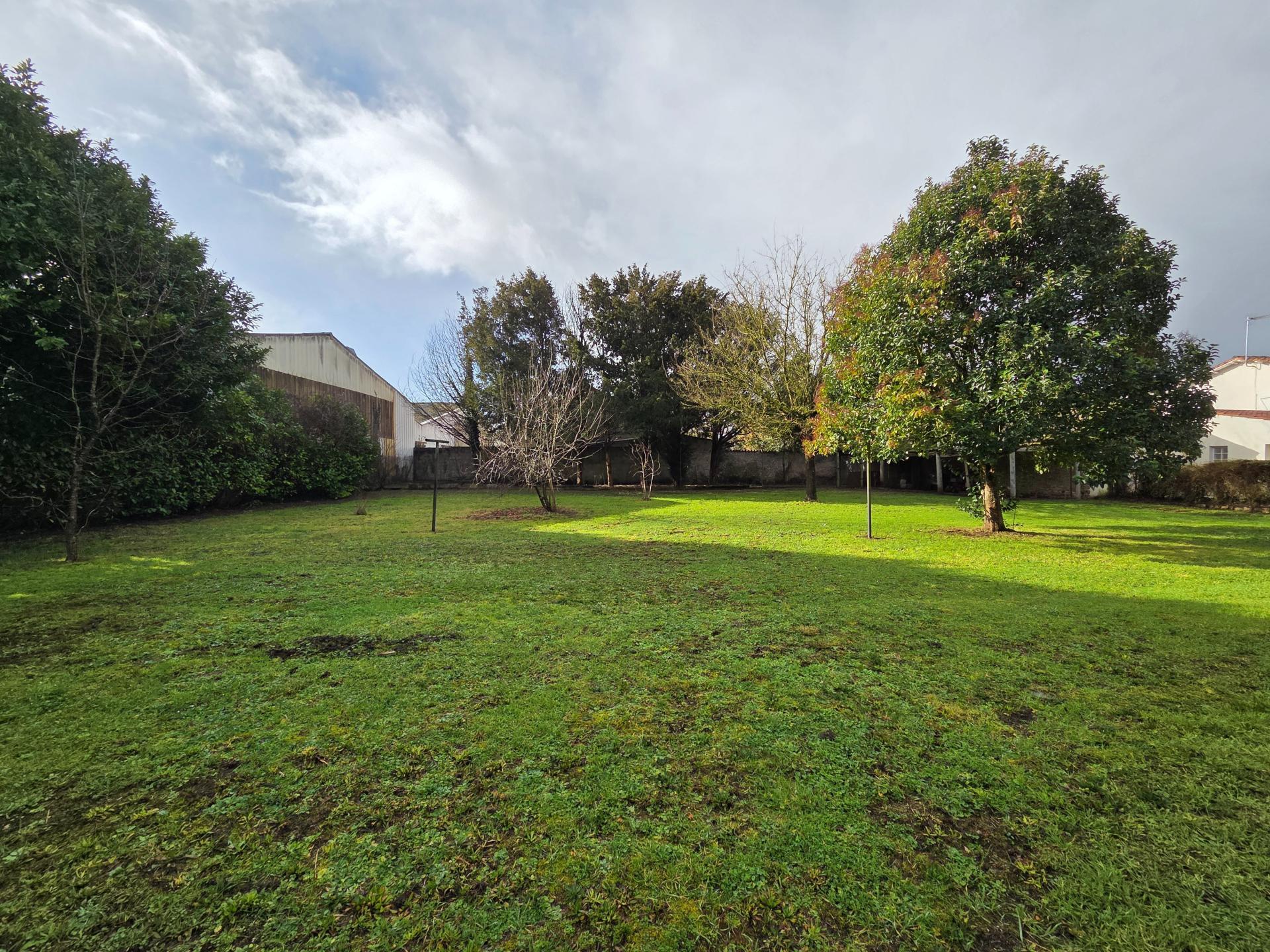 Miniature photo - 14 / 15