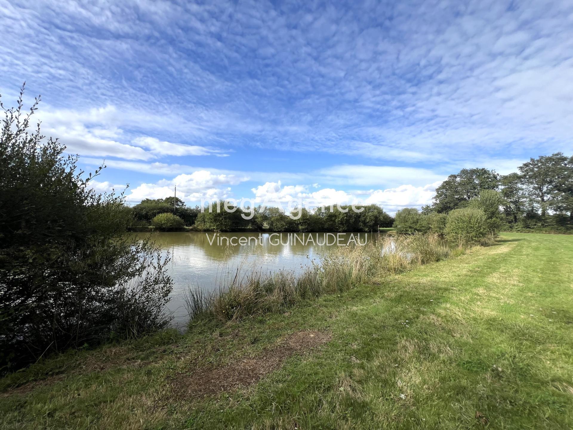 Miniature photo - 3 / 7