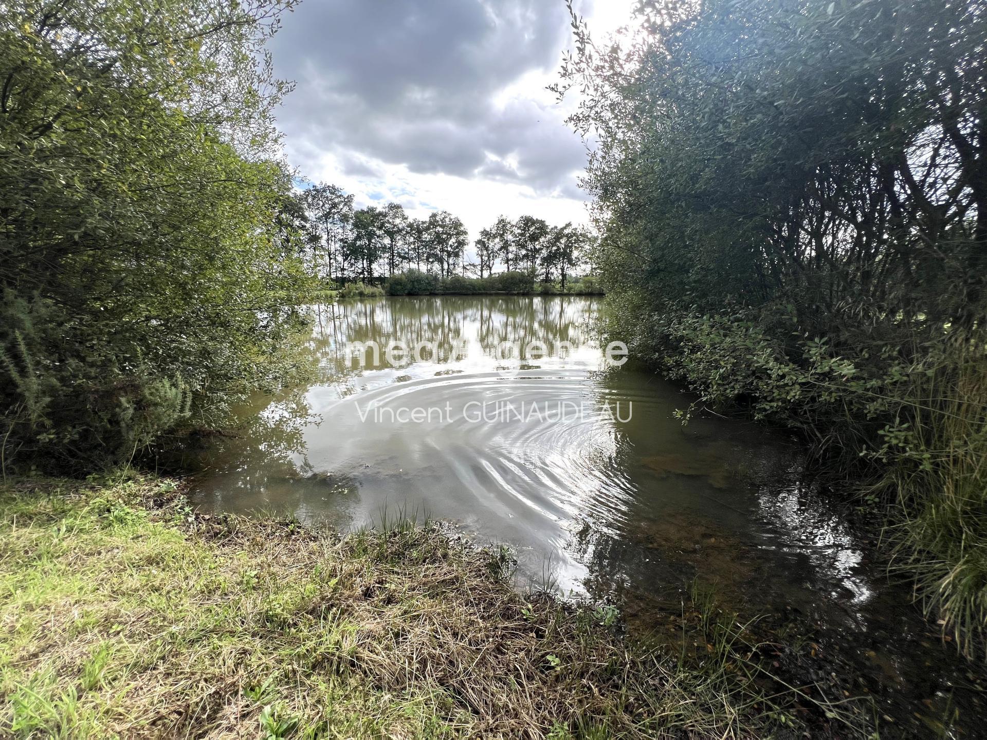 Miniature photo - 6 / 7