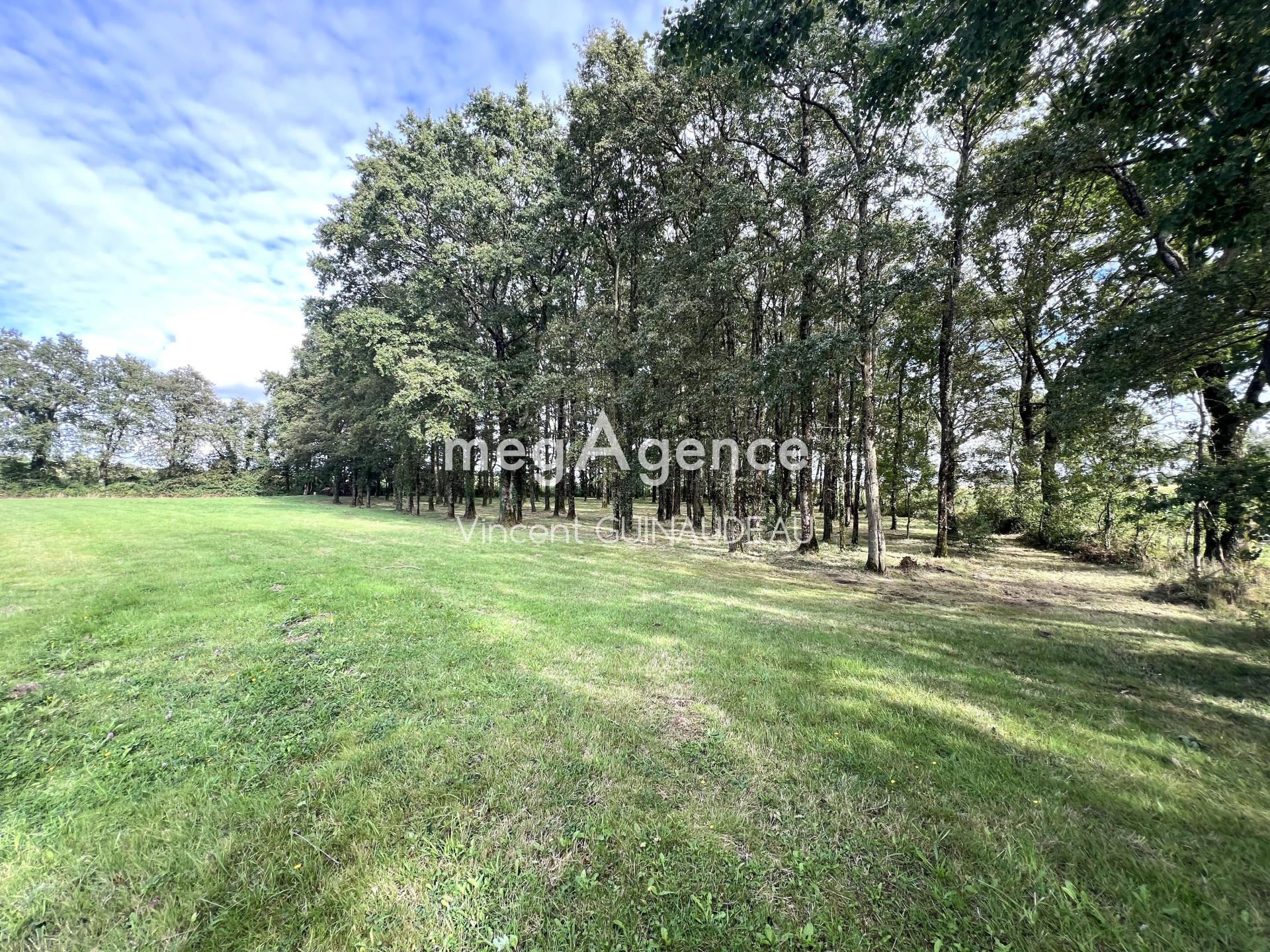 Miniature photo - 5 / 7