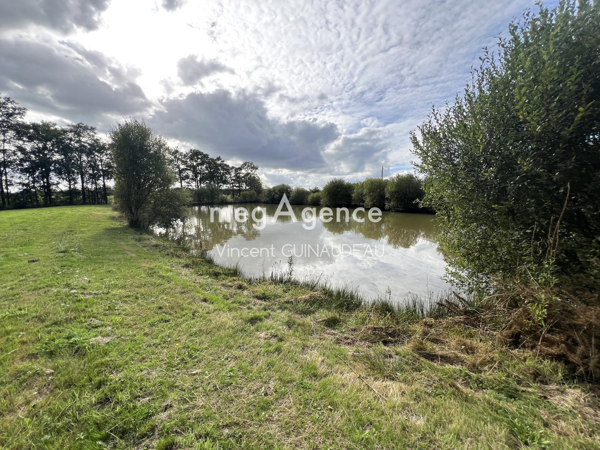 Miniature photo - 2 / 7