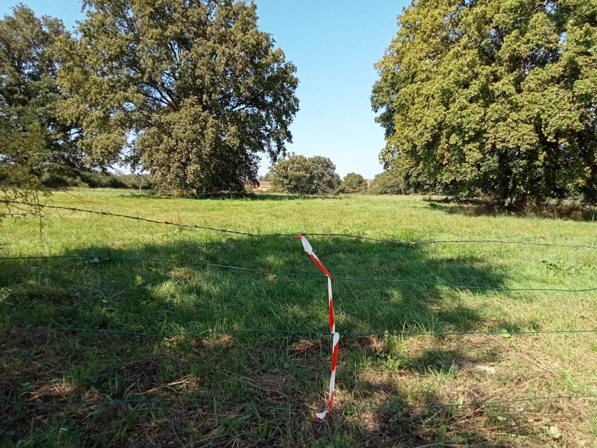 Photographie descriptive du bien