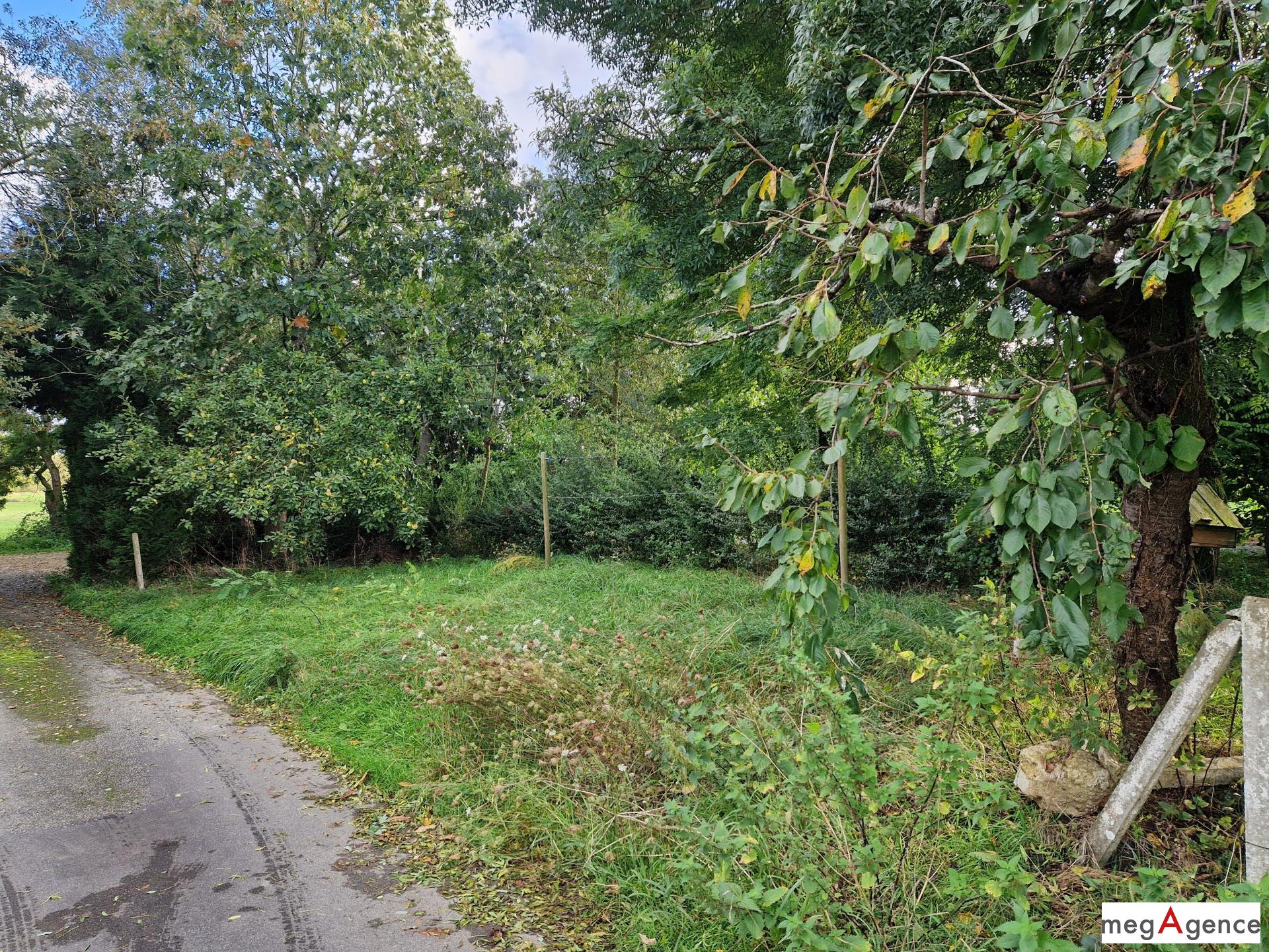 Miniature photo - 9 / 10