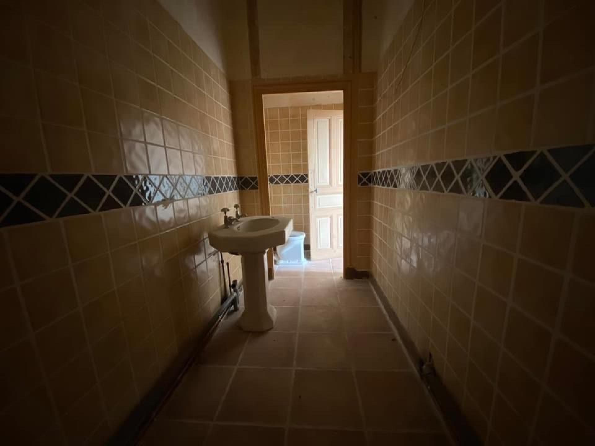 Miniature photo - 5 / 17