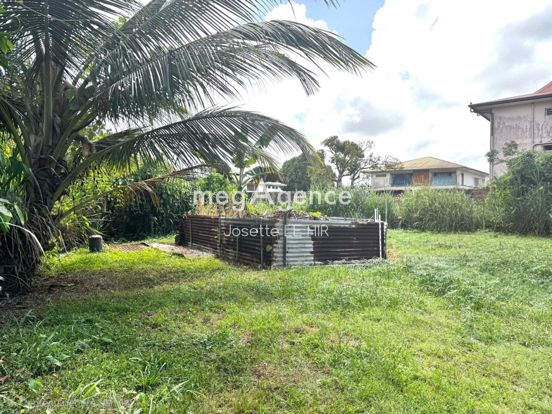 Miniature photo - 2 / 3