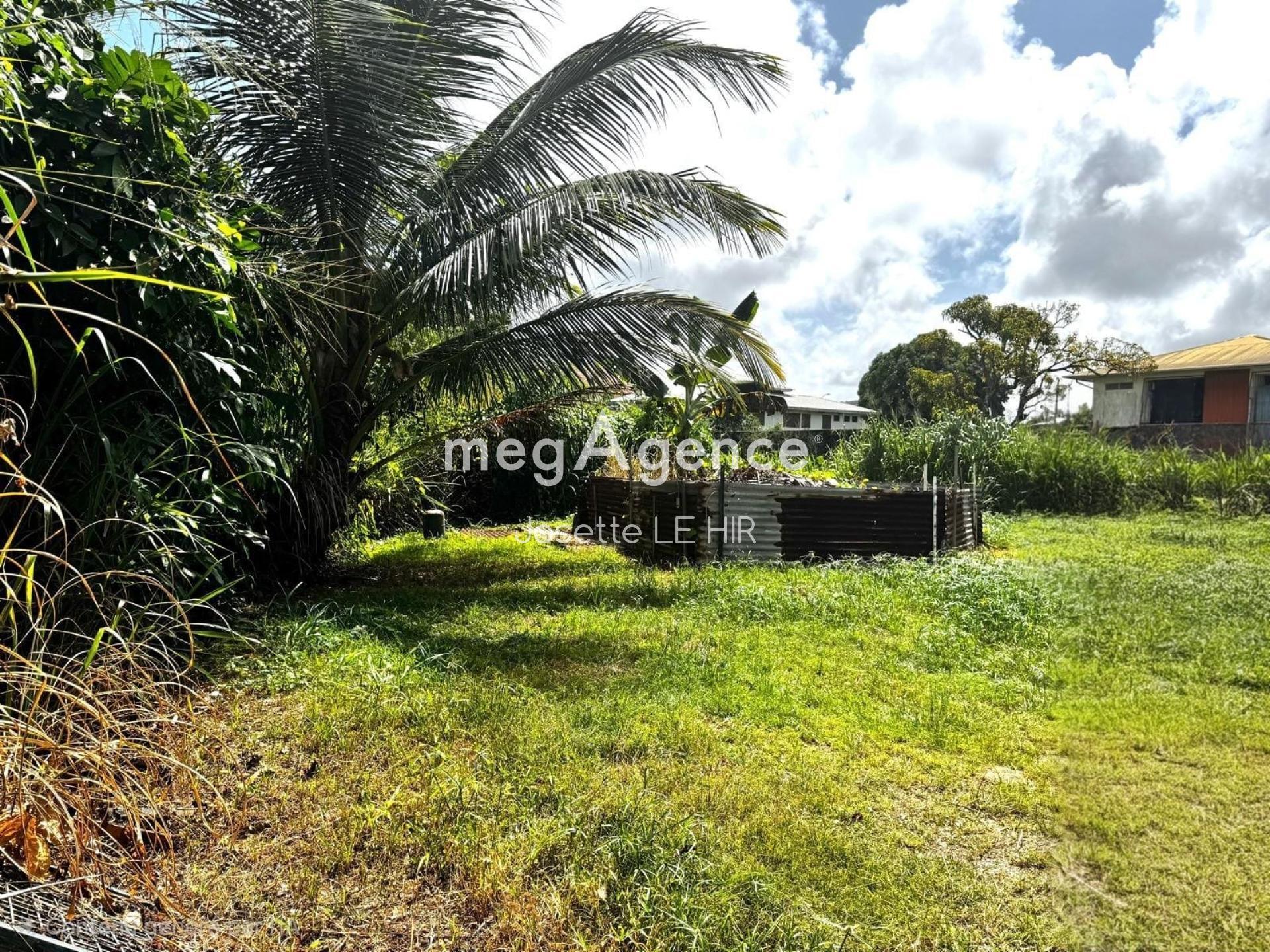 Miniature photo - 3 / 3