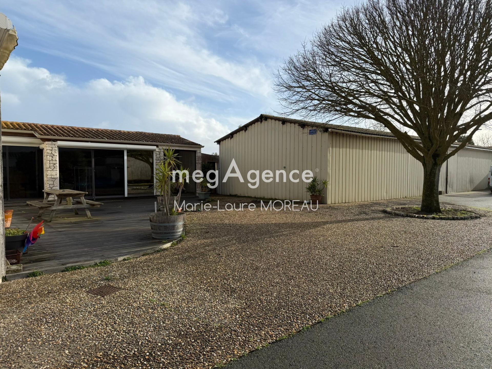 Miniature photo - 17 / 18