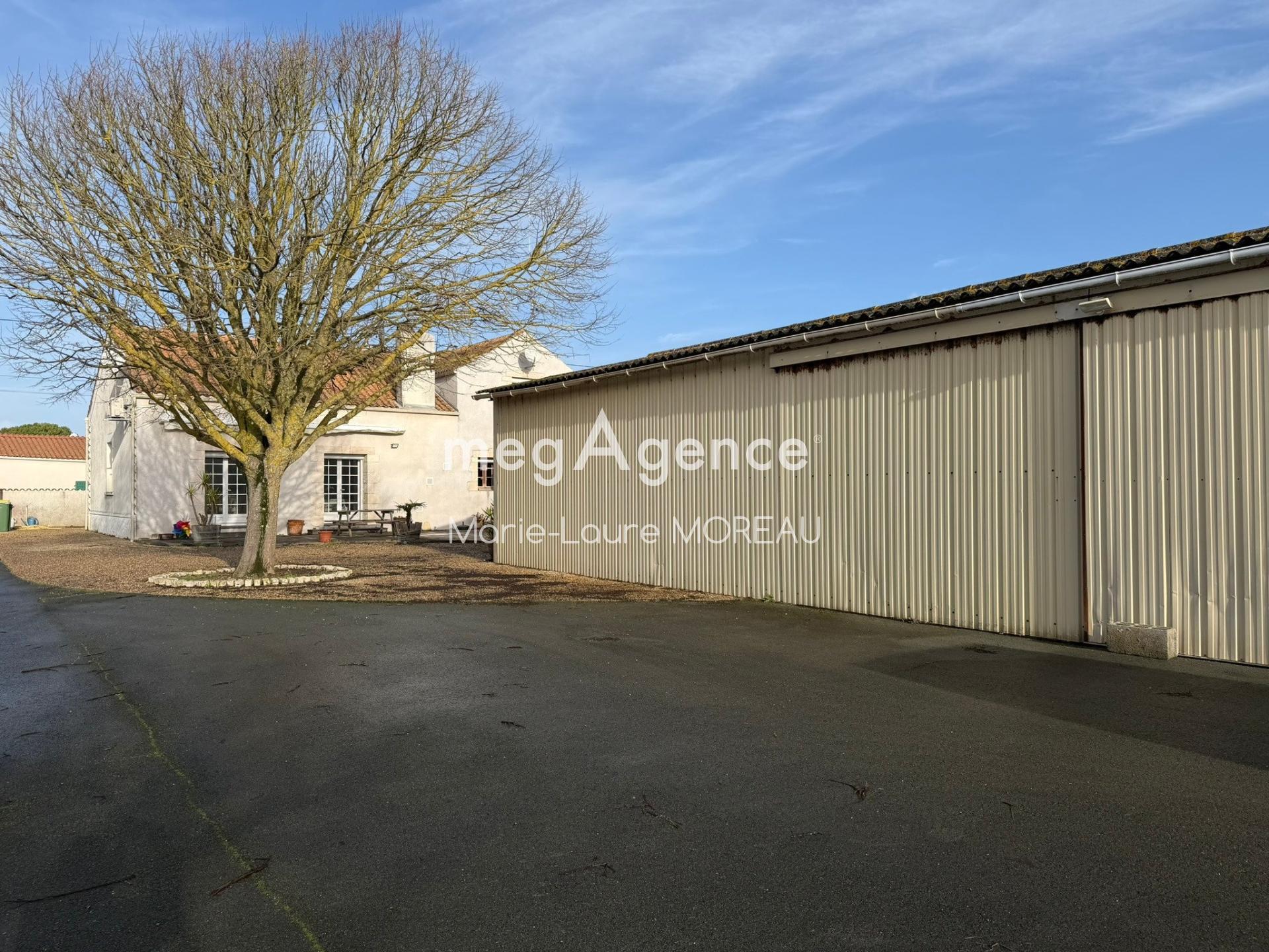 Miniature photo - 18 / 18