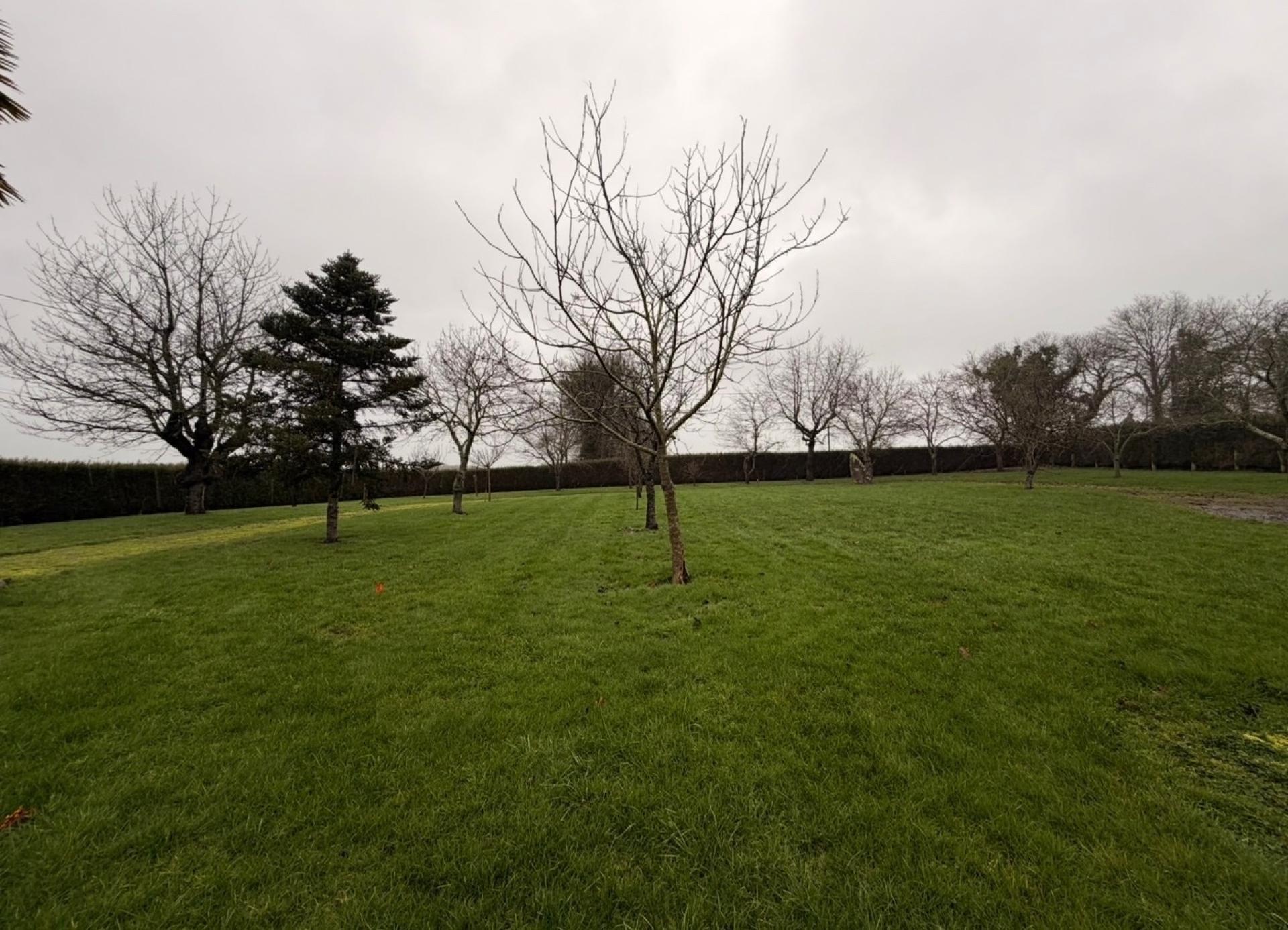 Miniature photo - 3 / 3