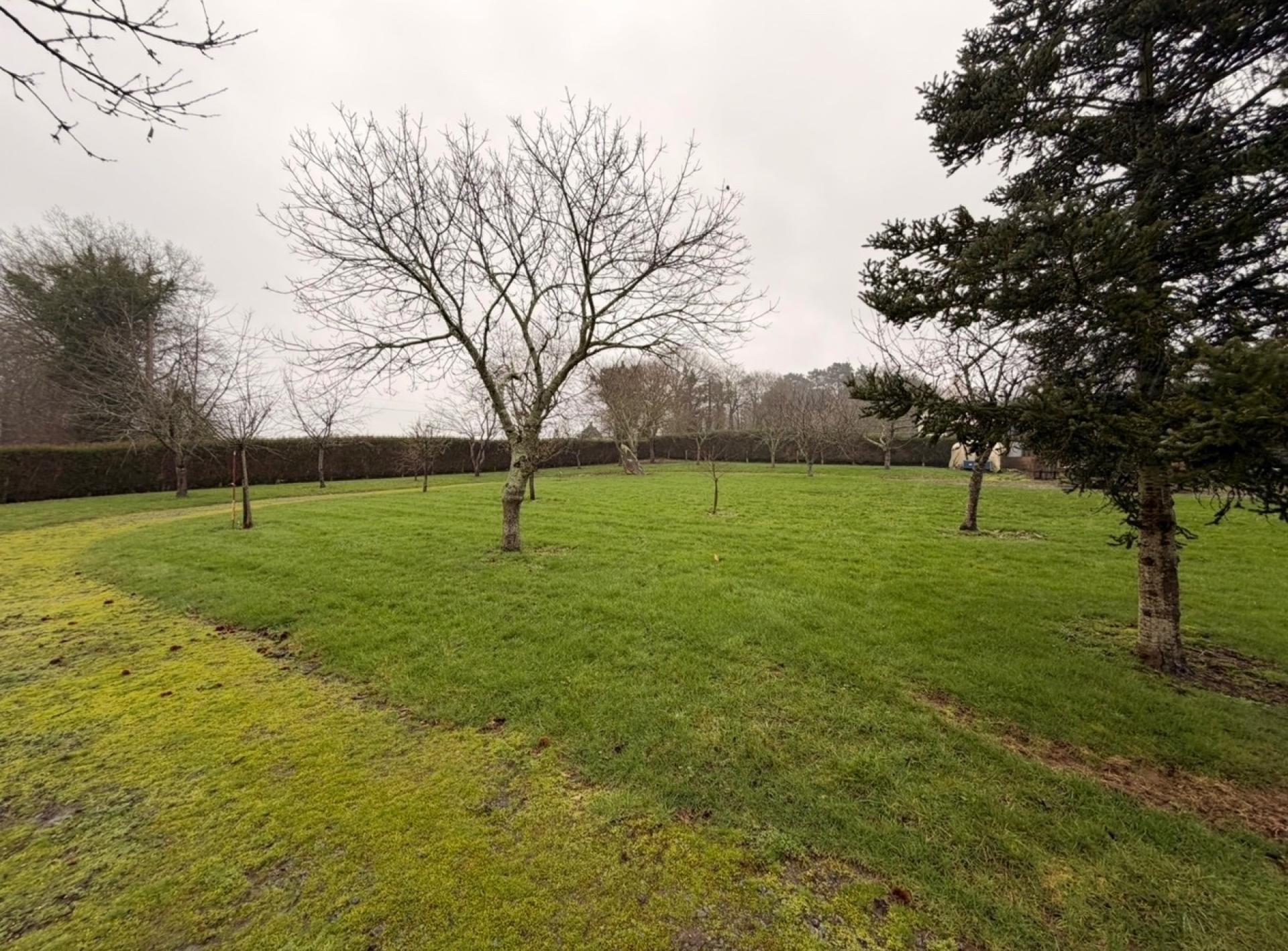 Miniature photo - 2 / 3