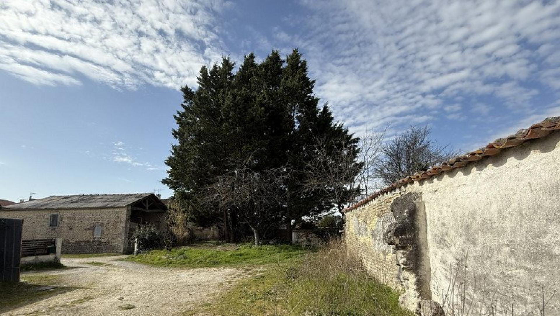 Miniature photo - 9 / 9