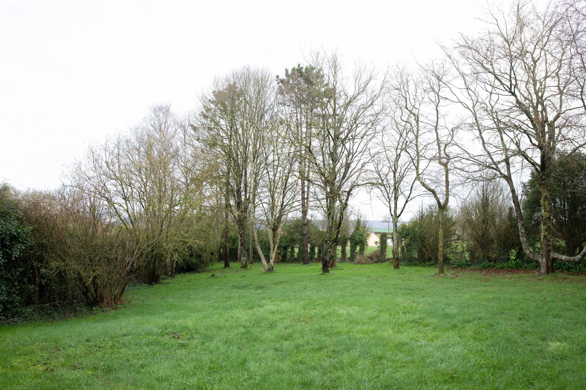 Miniature photo - 12 / 12