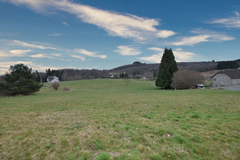 Miniature photo - 5 / 6