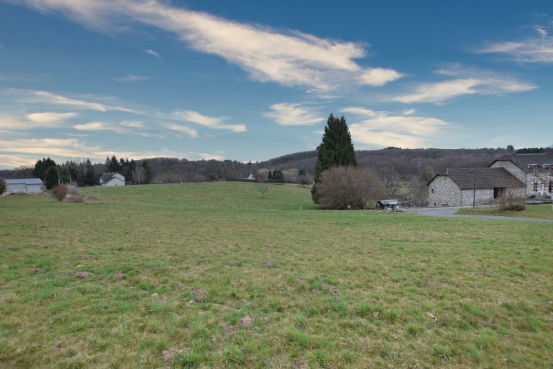 Miniature photo - 3 / 6