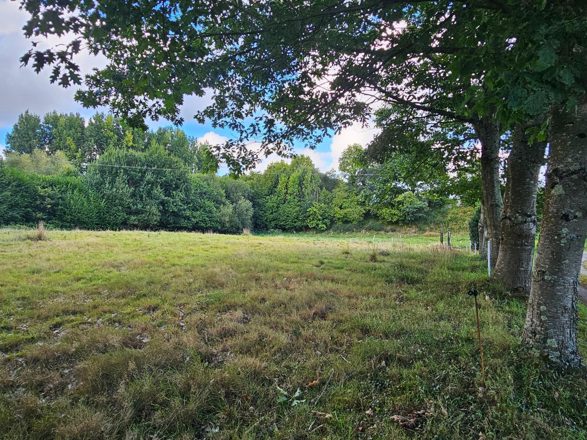 Miniature photo - 2 / 2