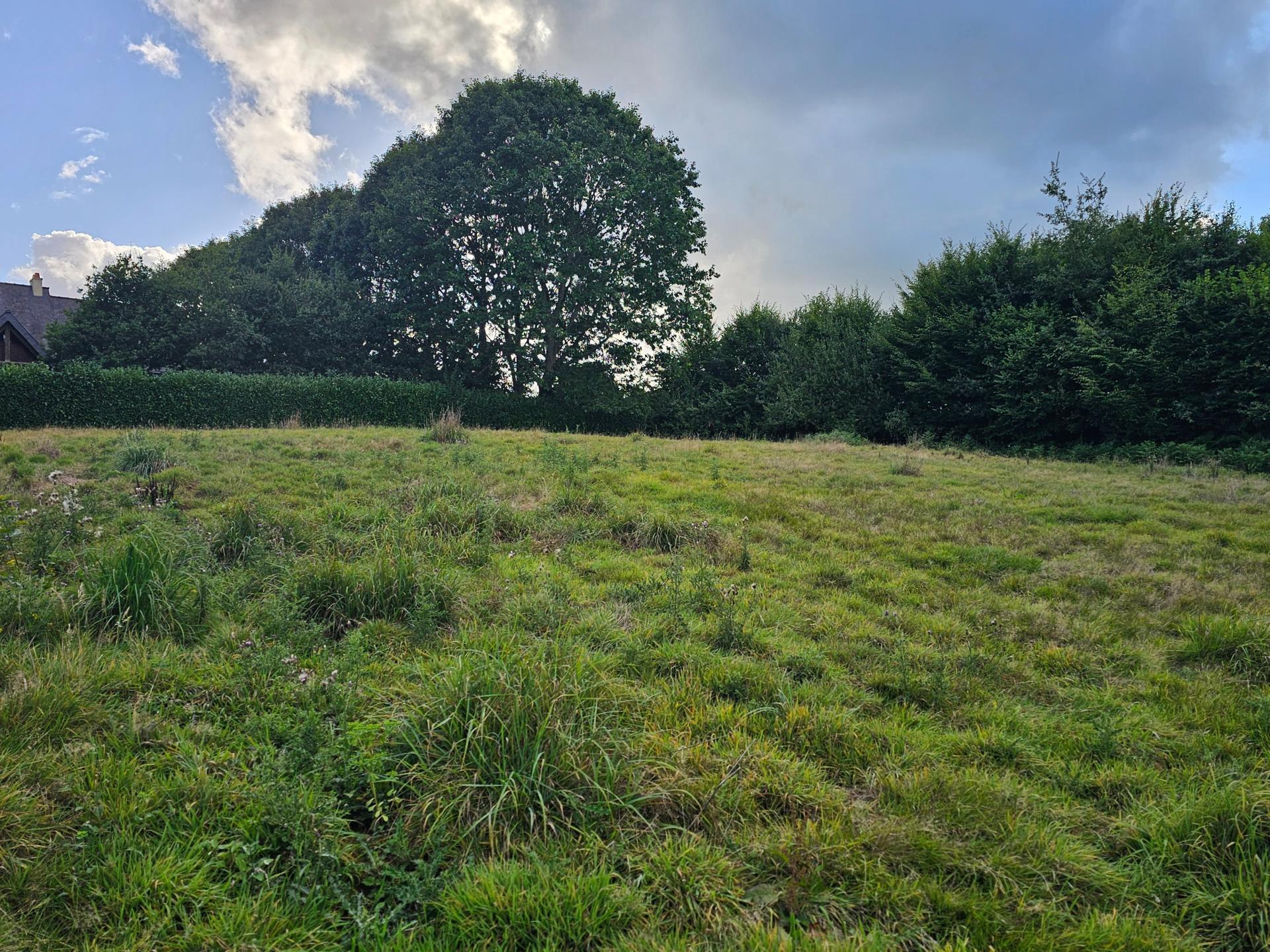 Photographie descriptive du bien