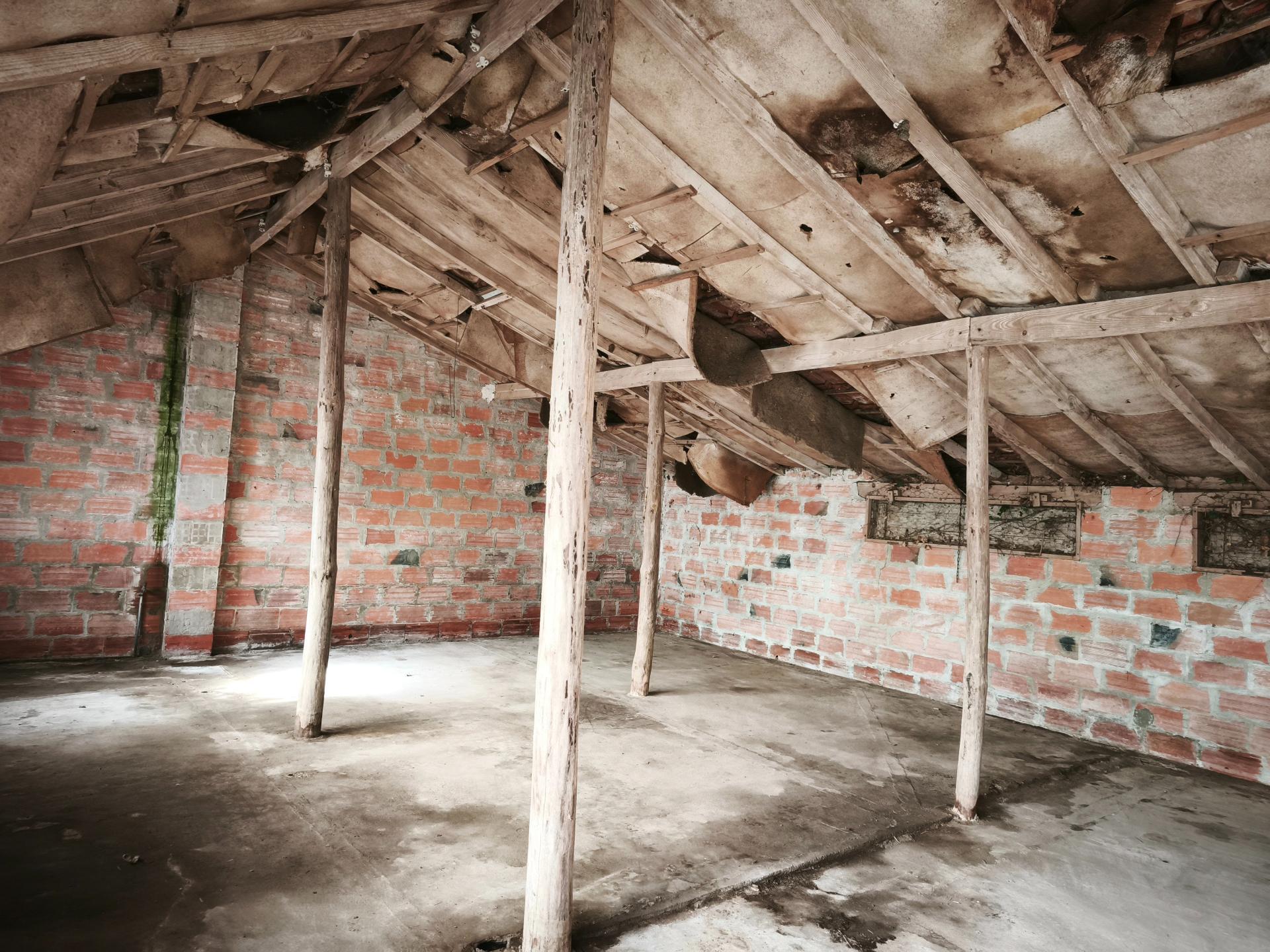 Miniature photo - 2 / 5