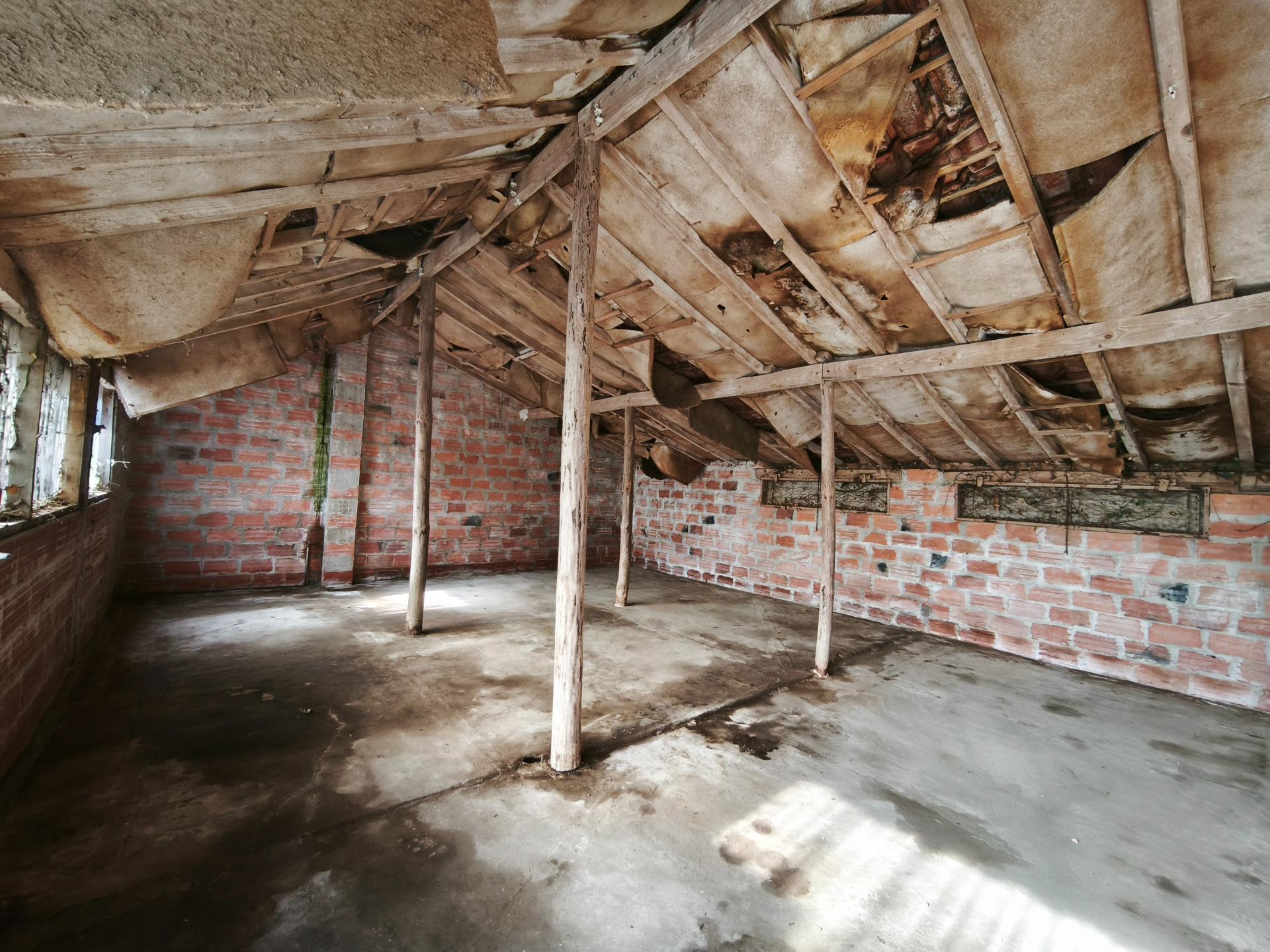 Miniature photo - 5 / 5