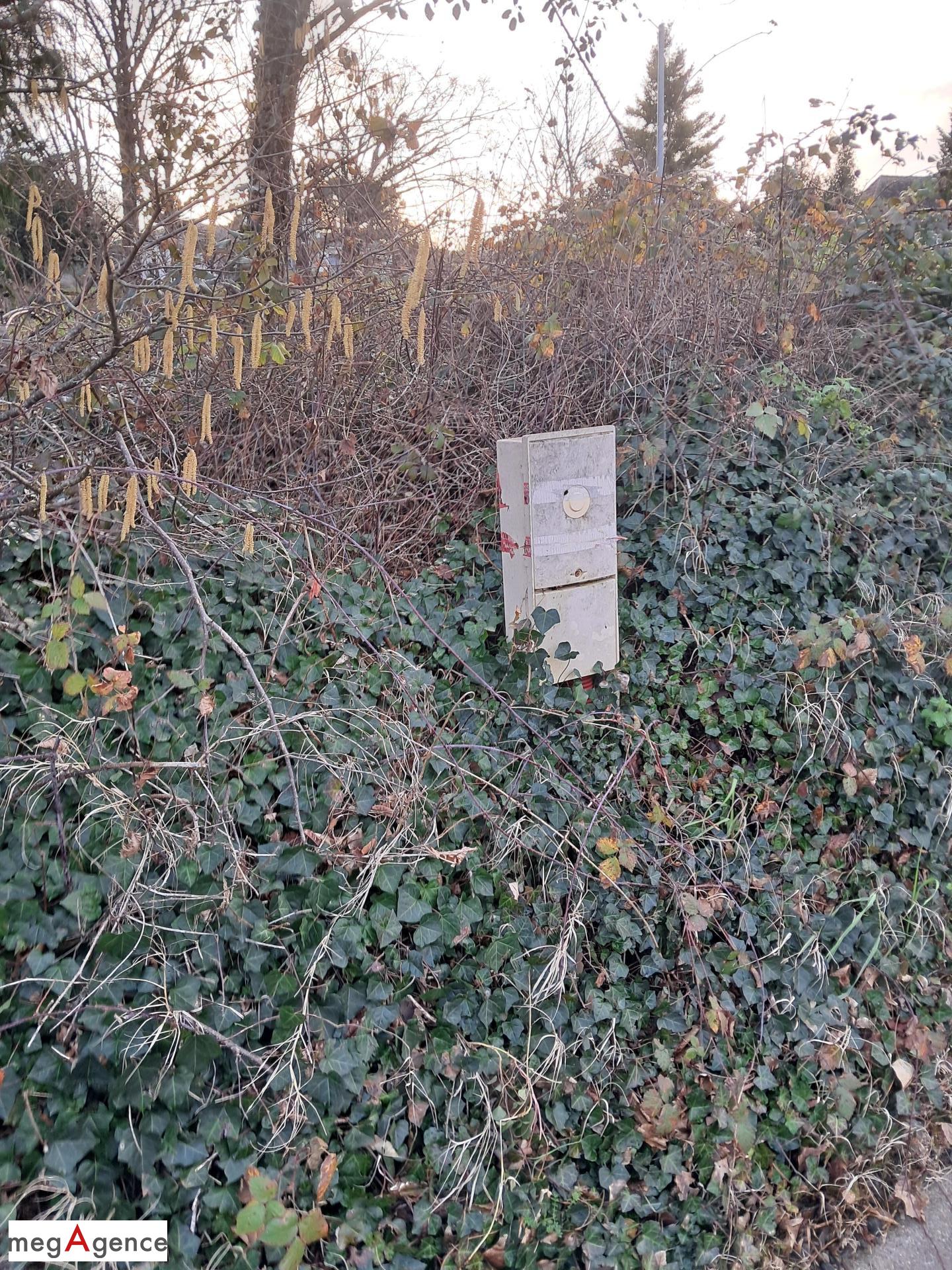 Miniature photo - 3 / 4